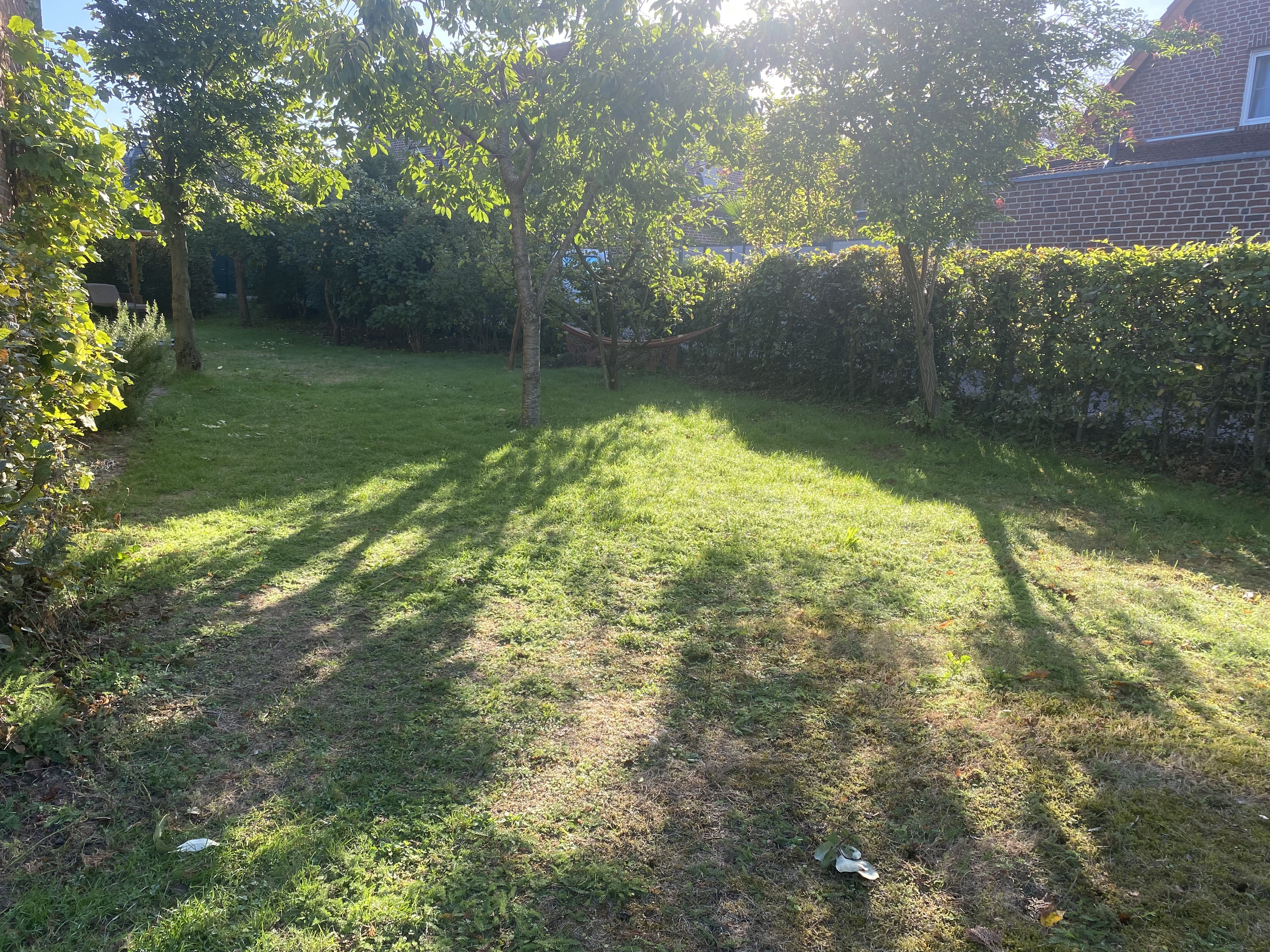 image-19