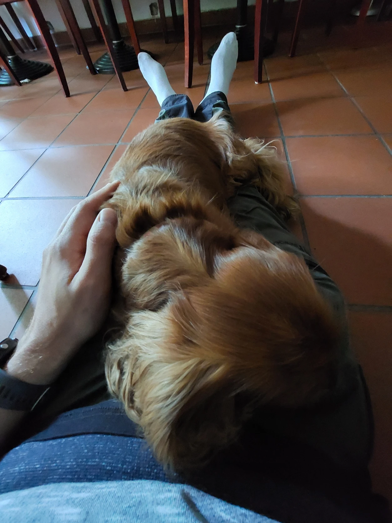 image-7