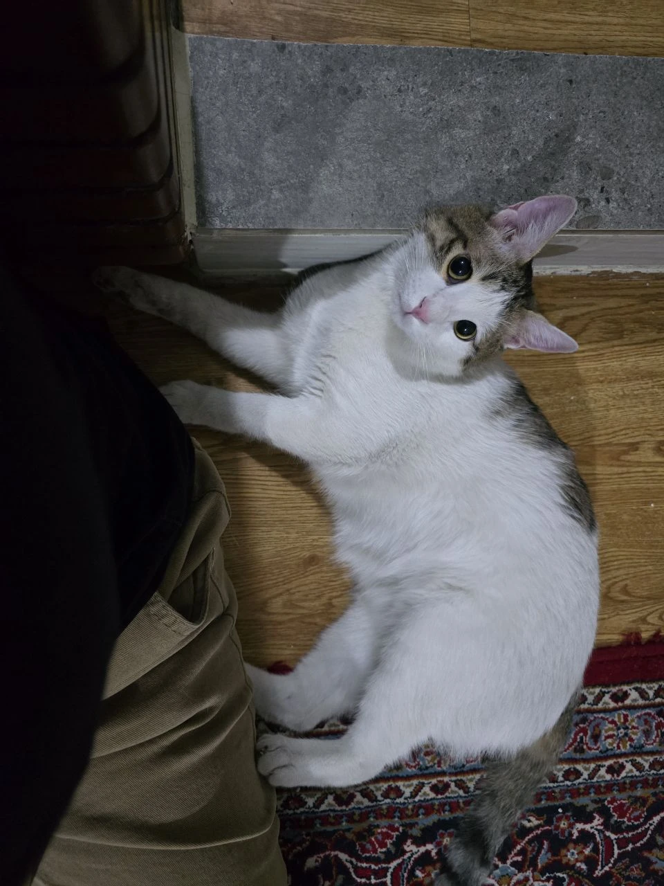 image-7