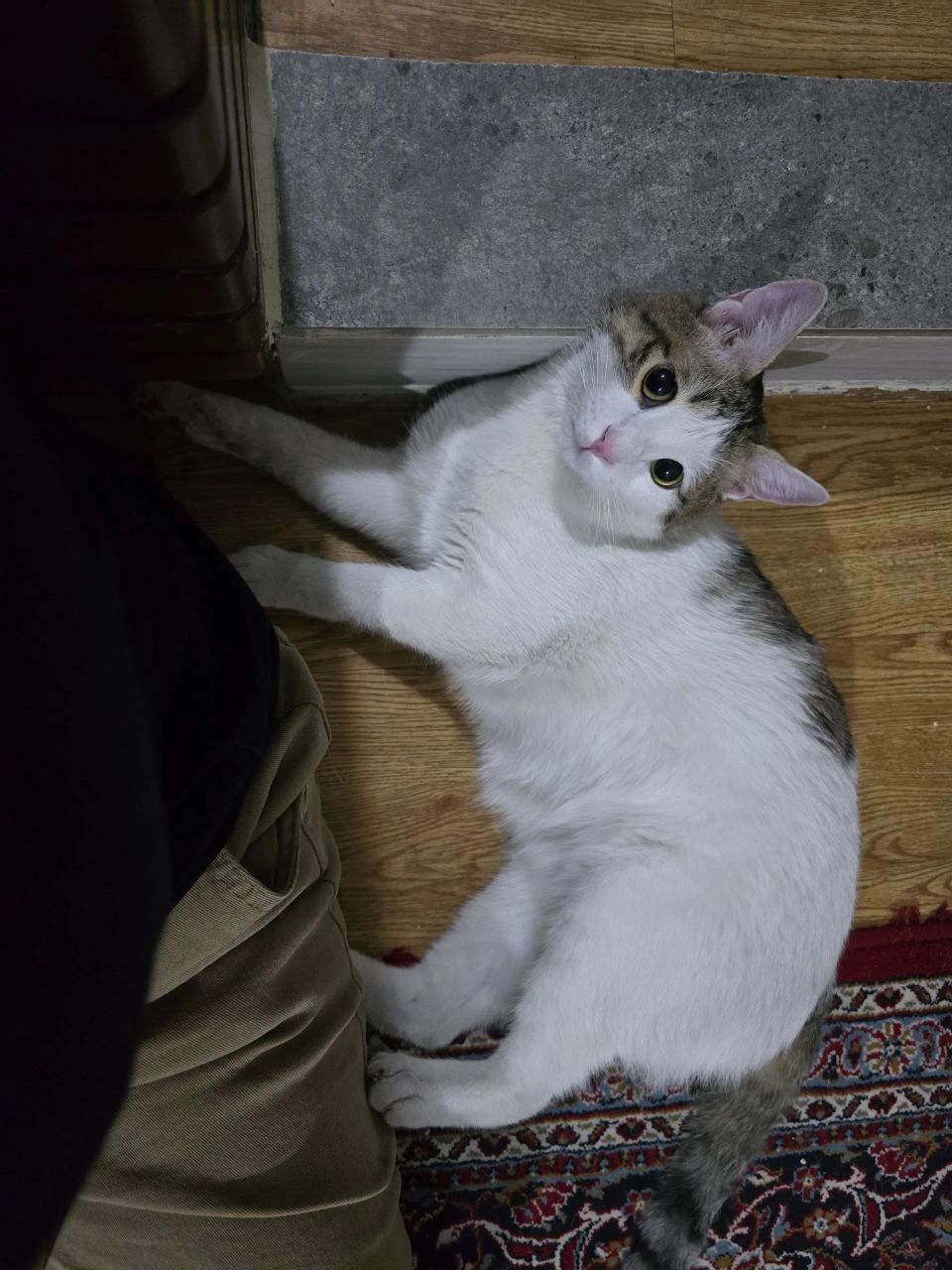 image-7