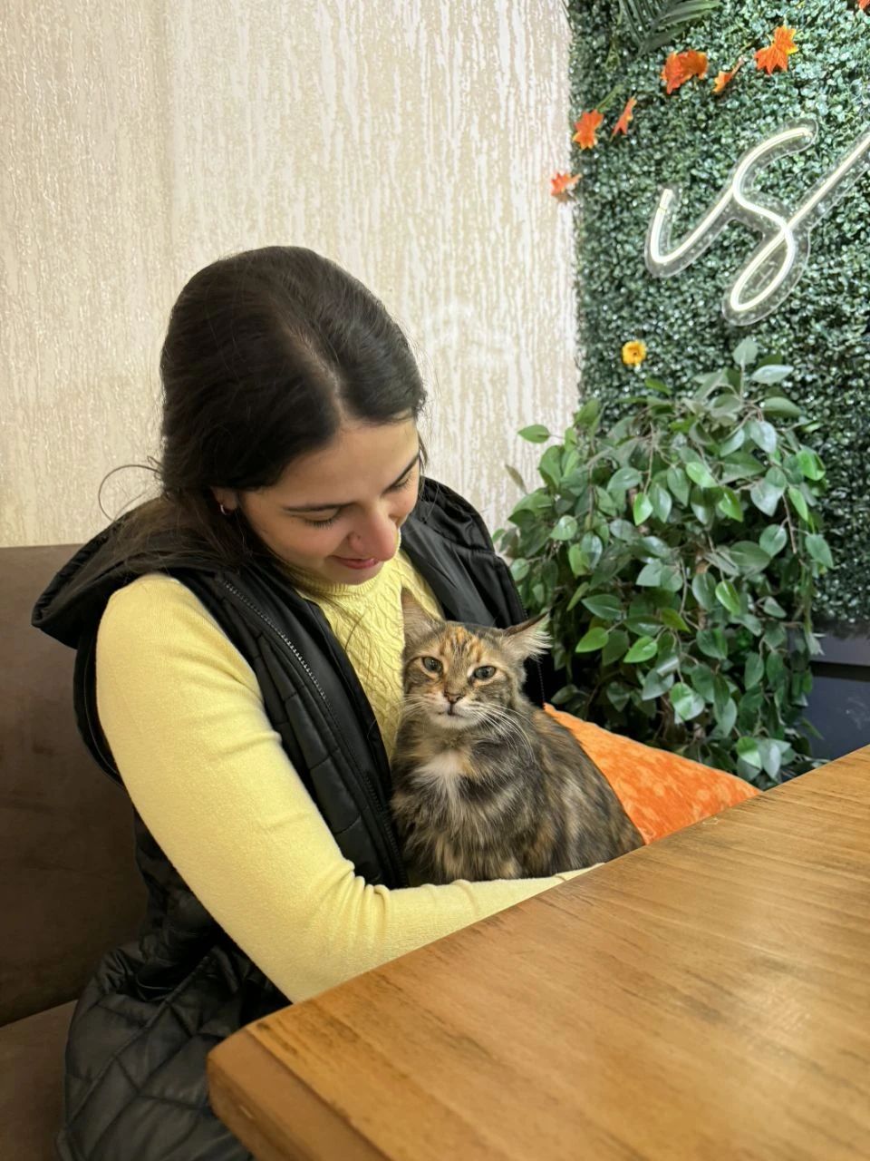 image-0