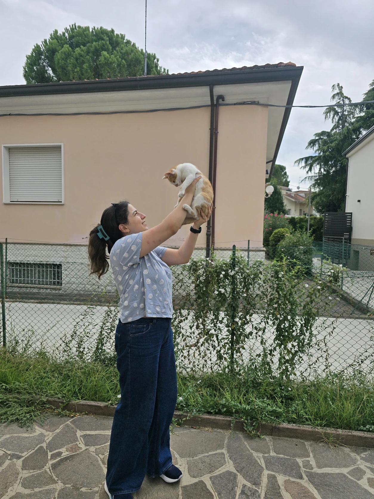 image-4