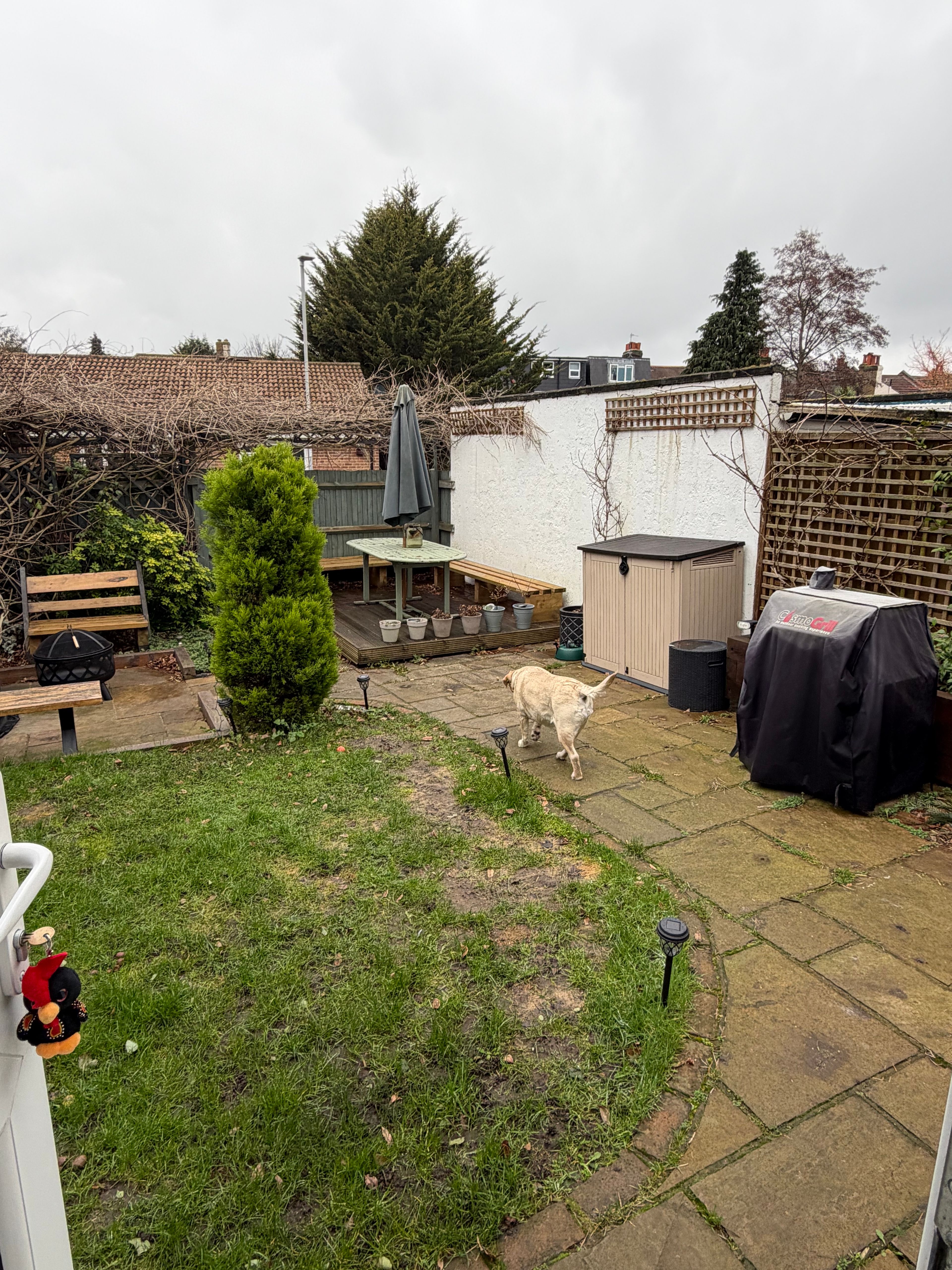 image-11