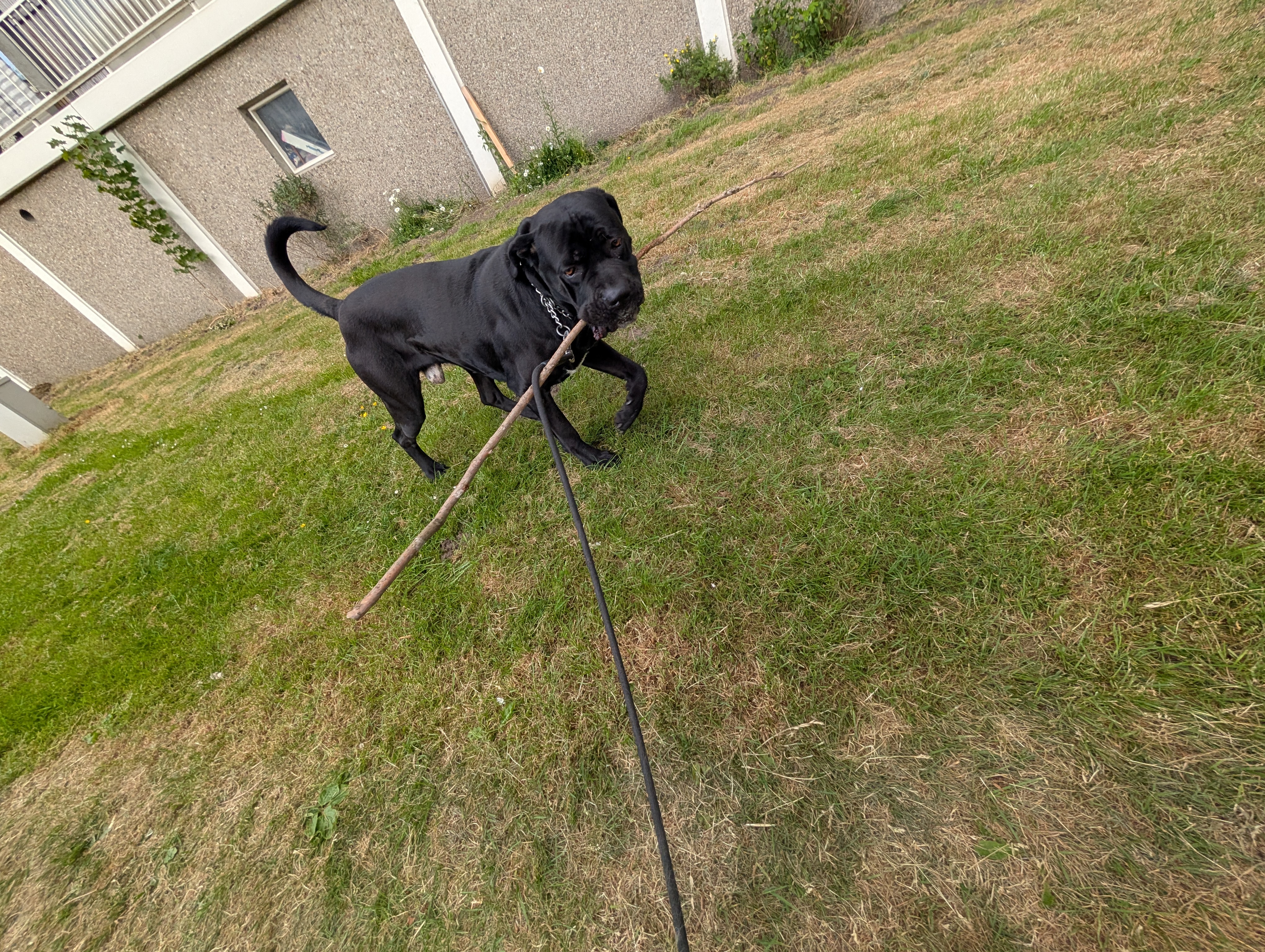 image-7
