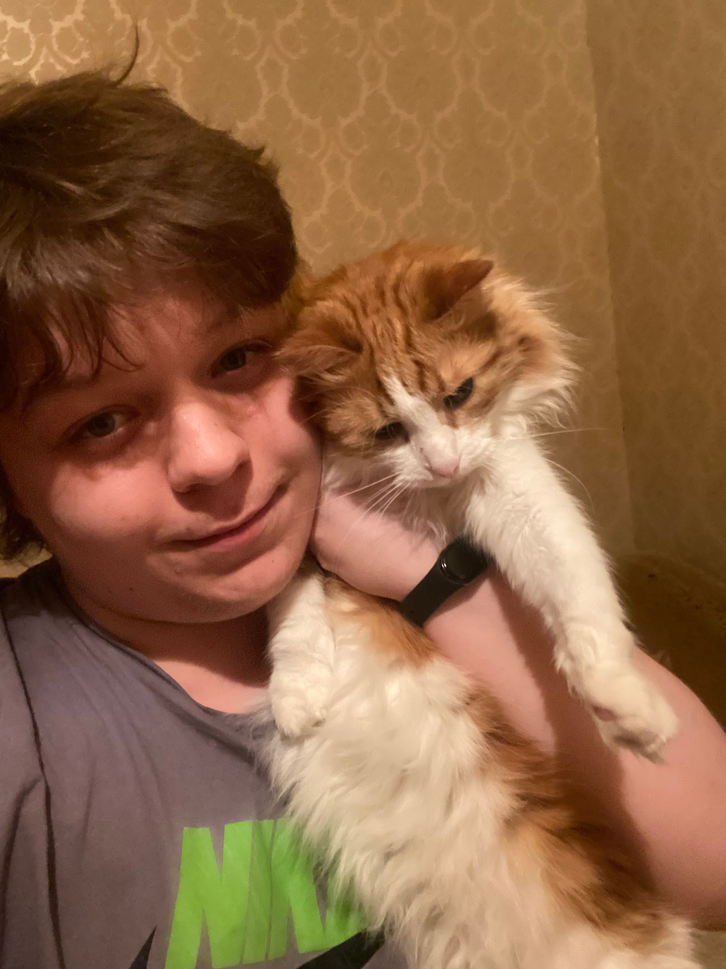 image-7