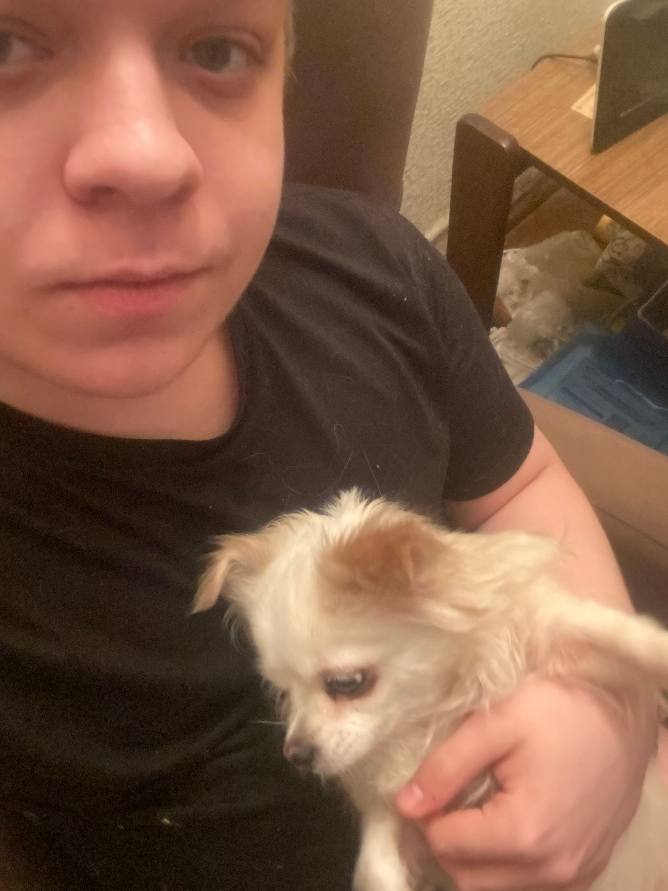 image-8