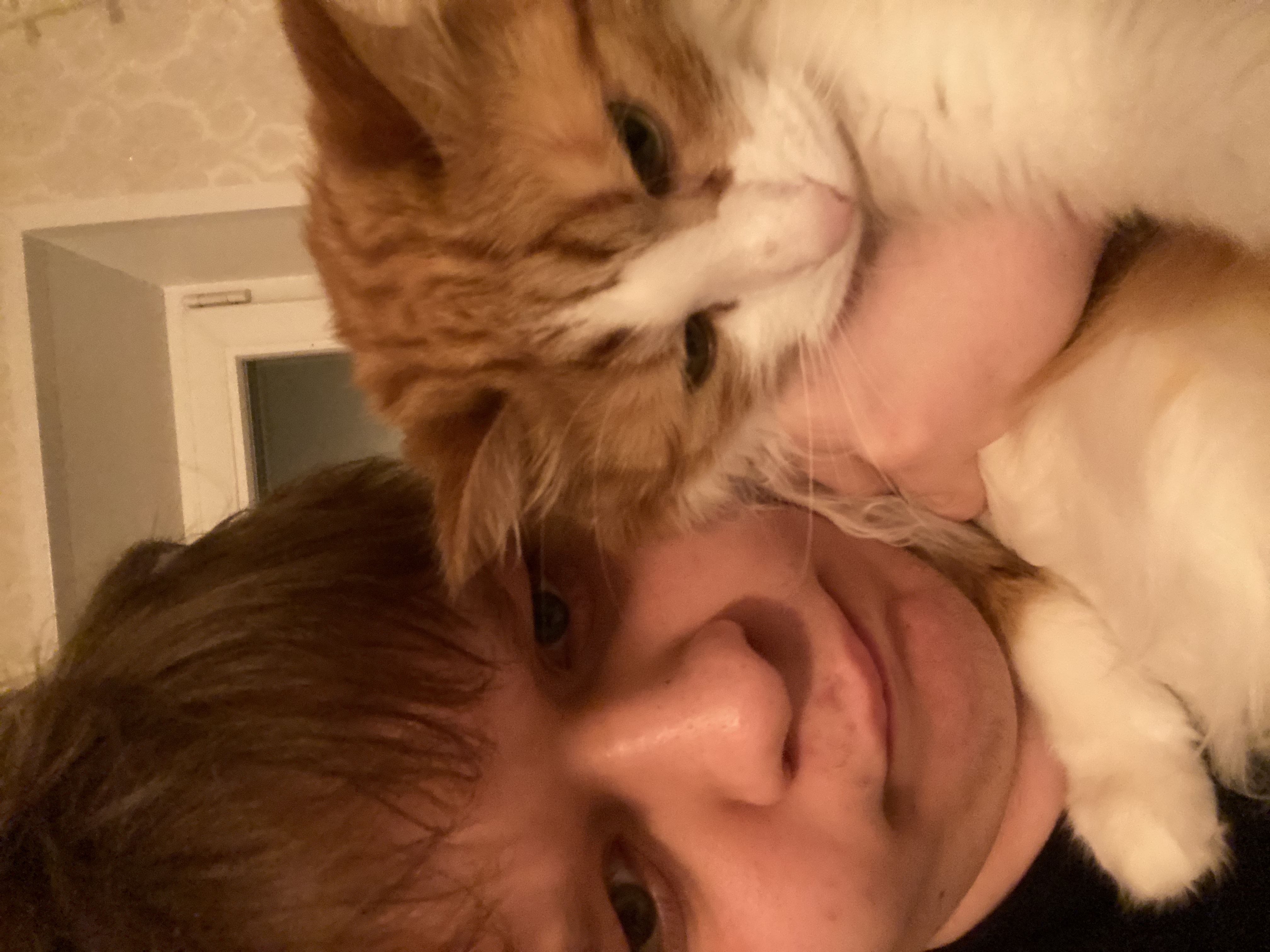image-6