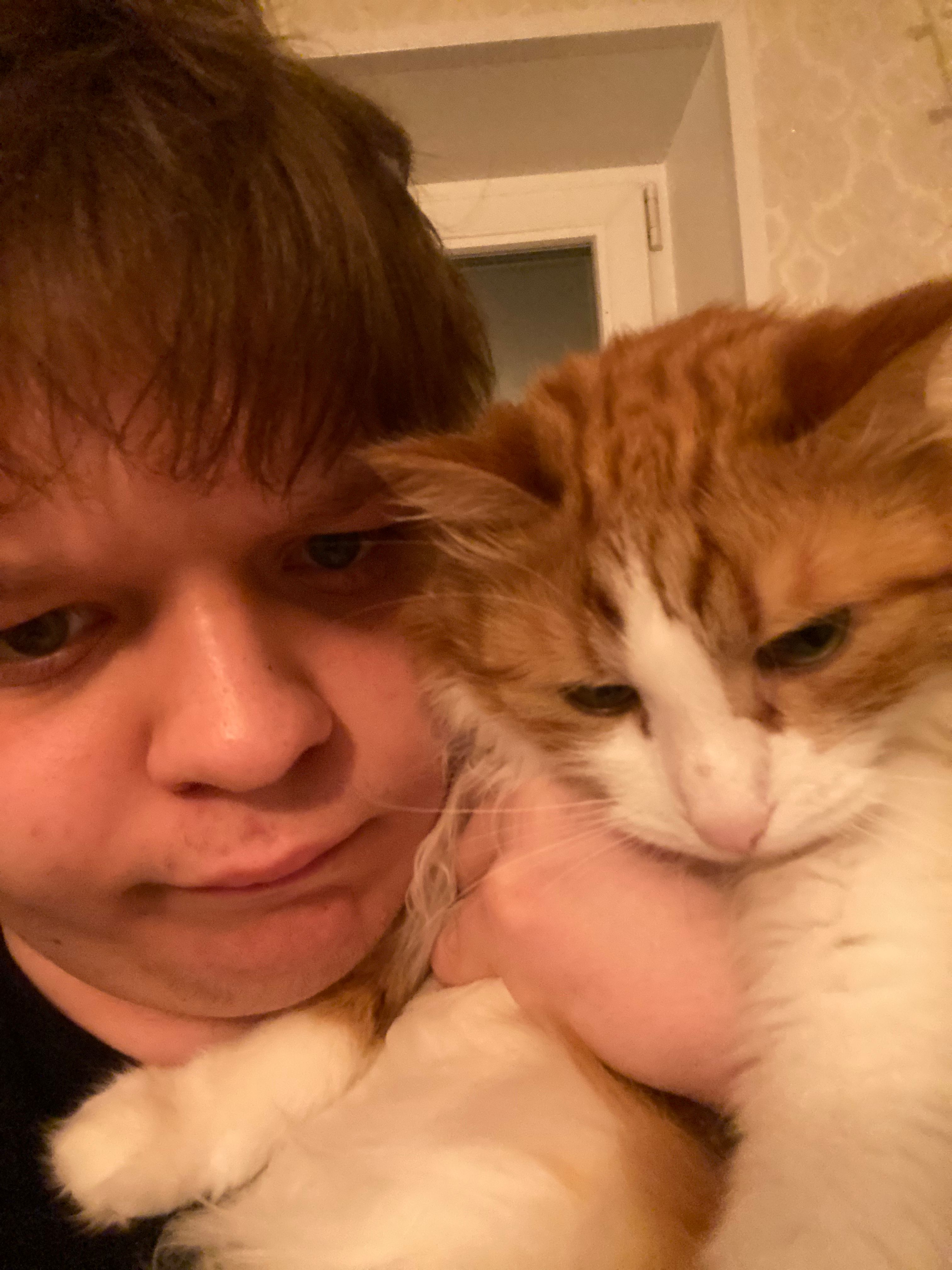 image-6