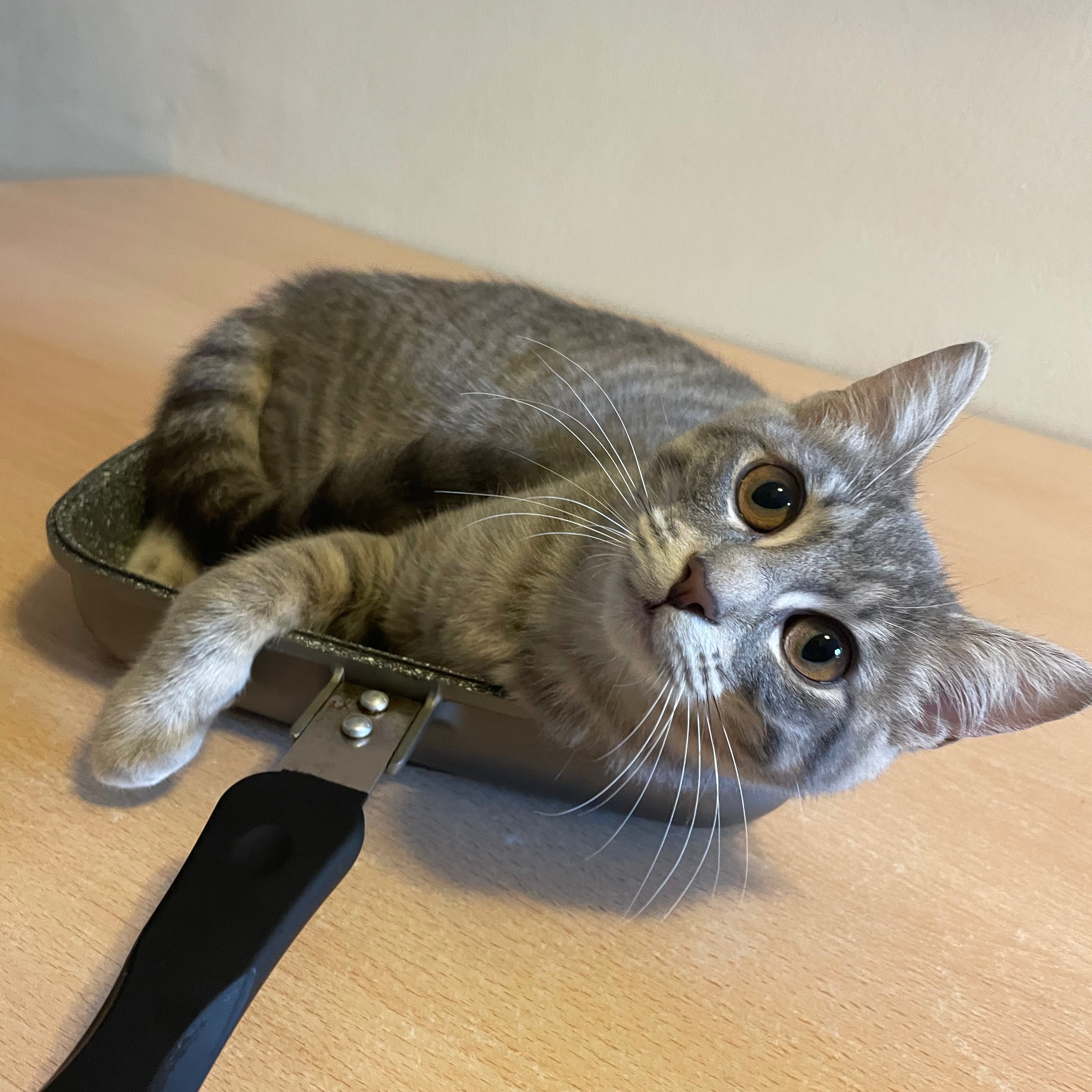 Miu