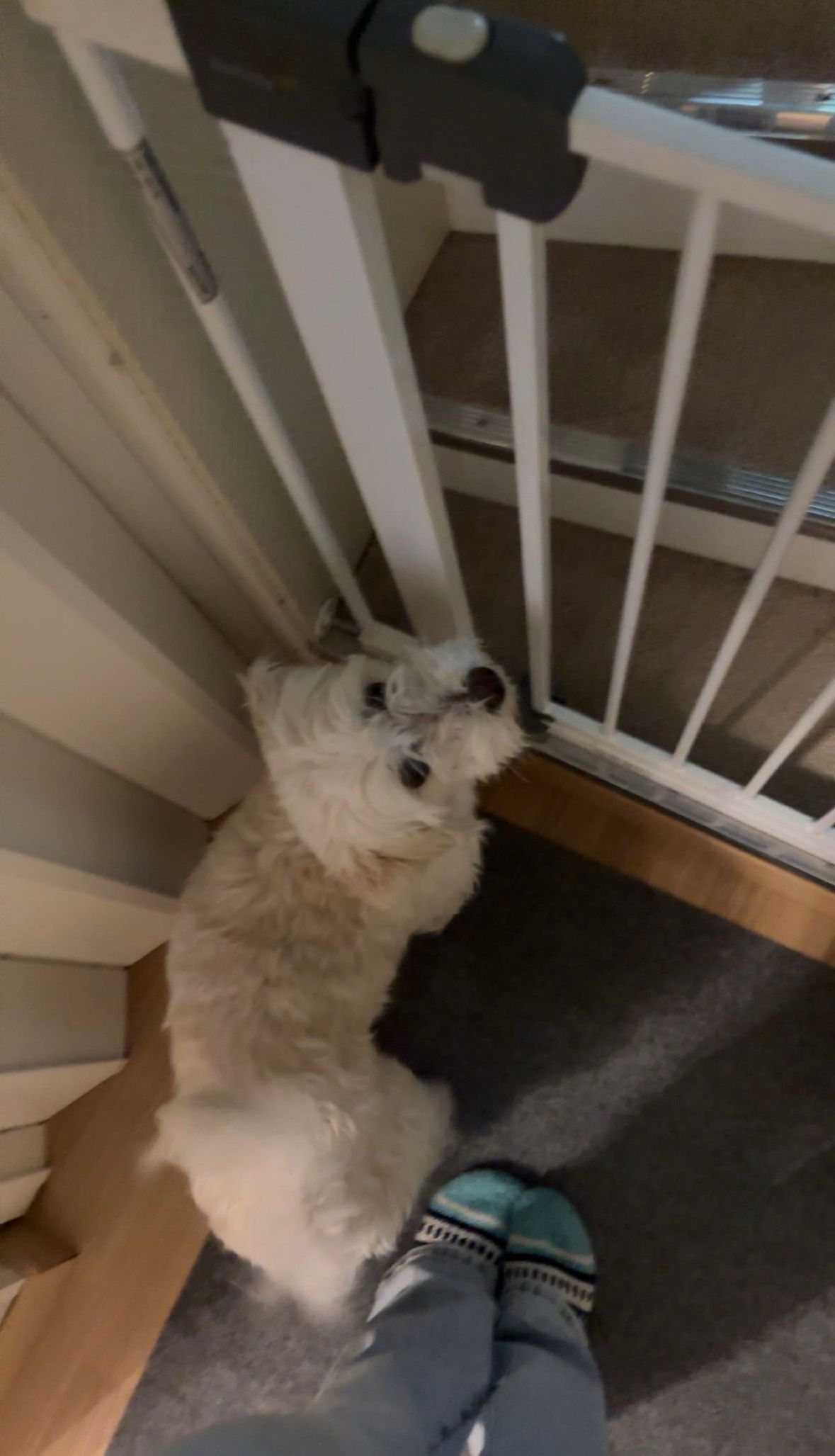 image-9