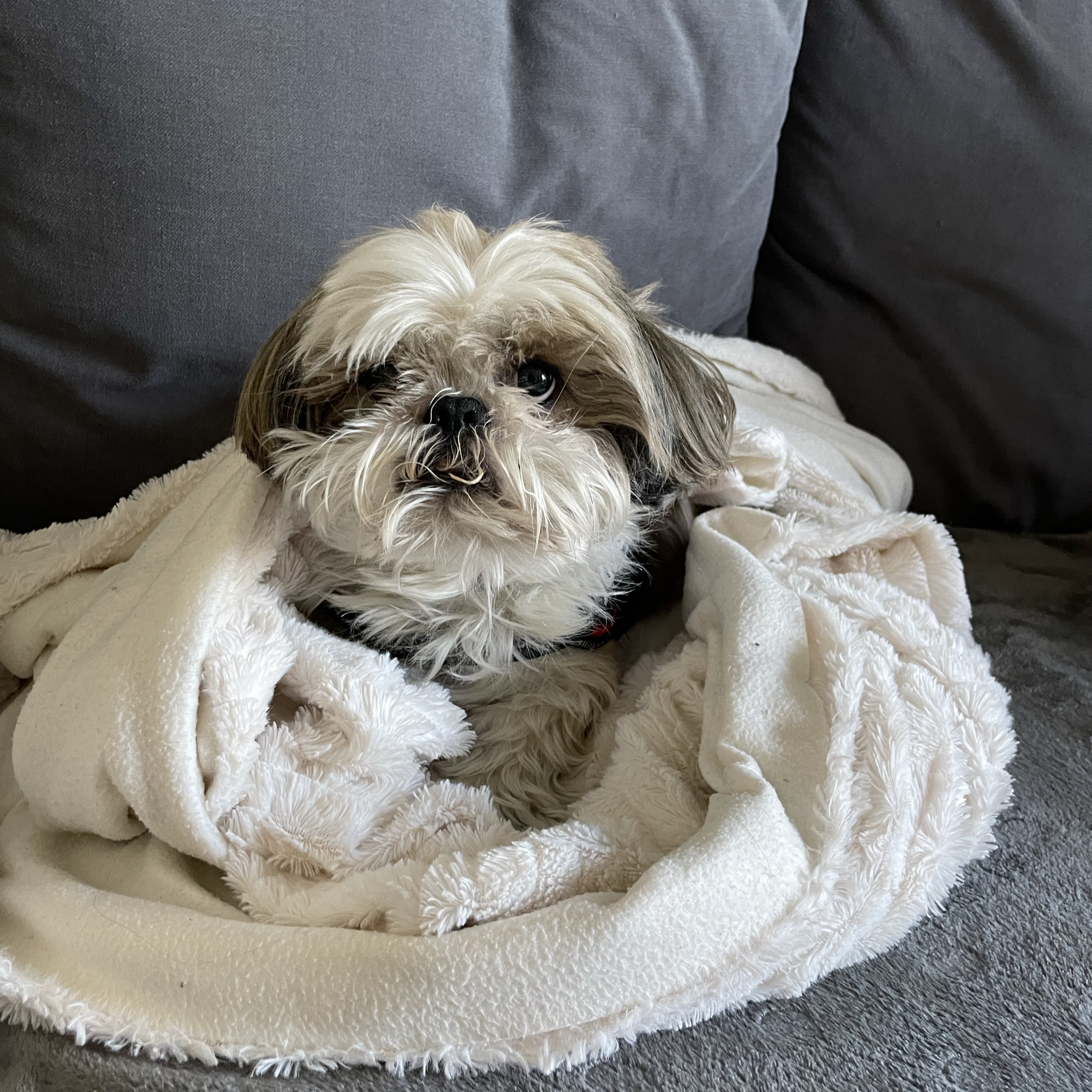 Coco