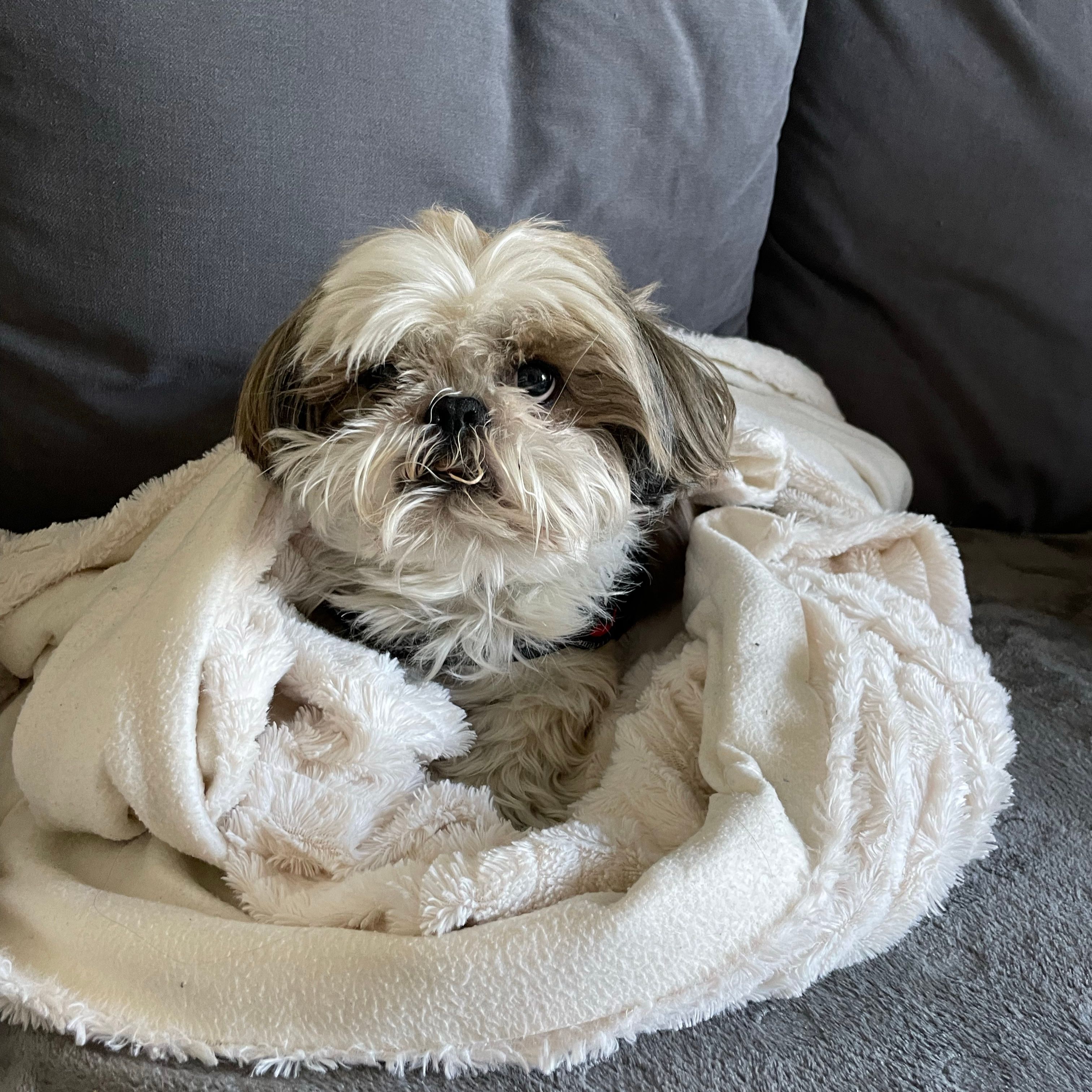 Coco