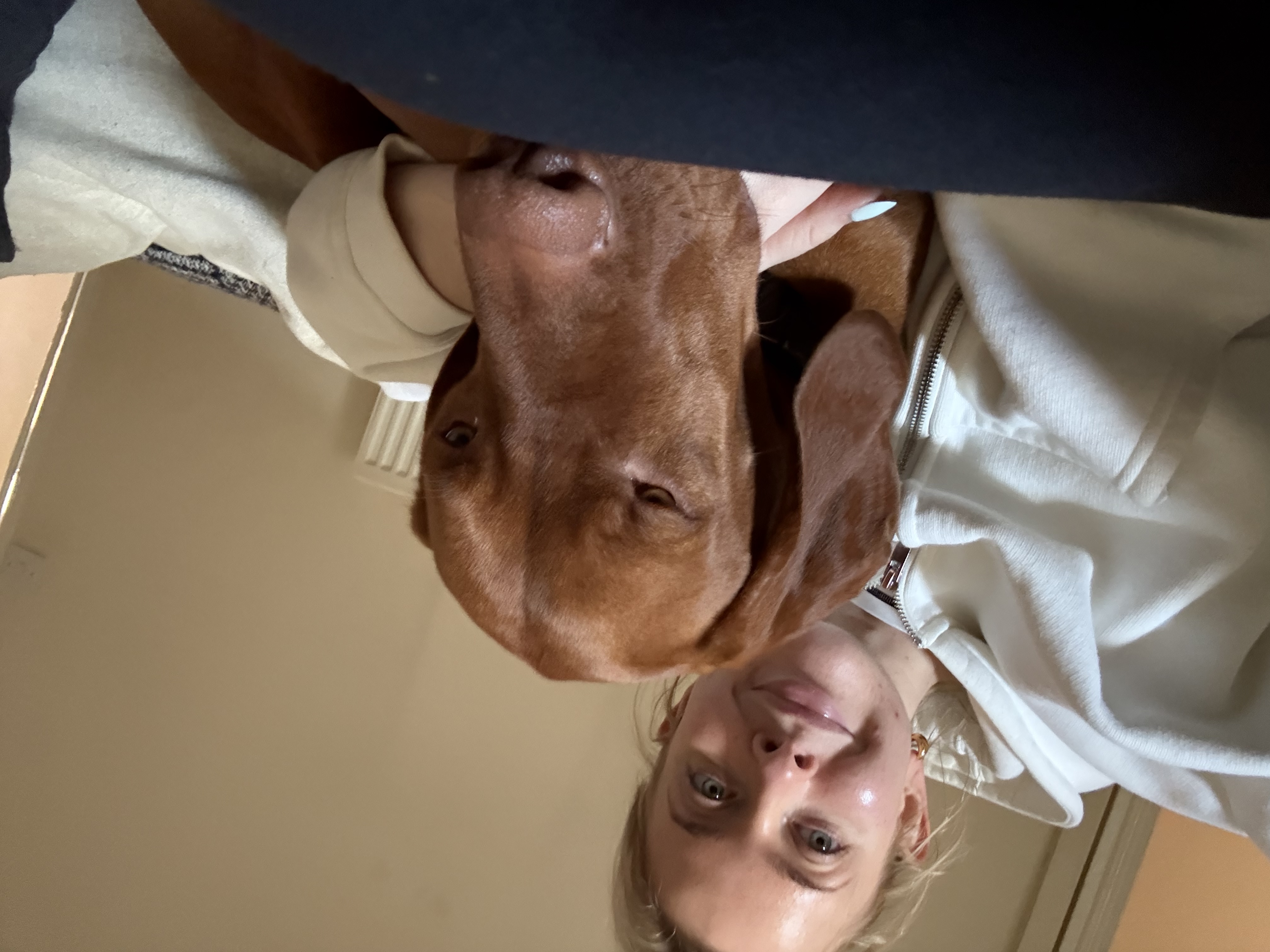image-4