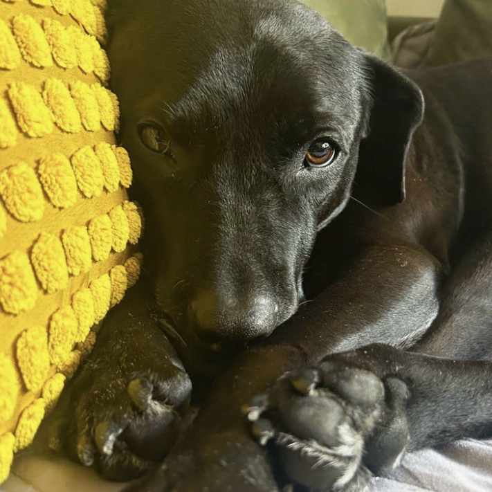 Gitana