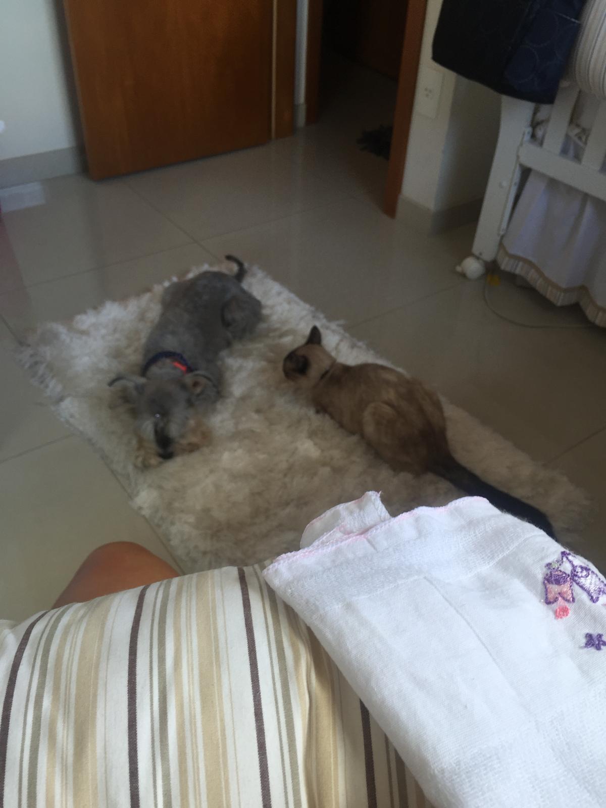 image-6