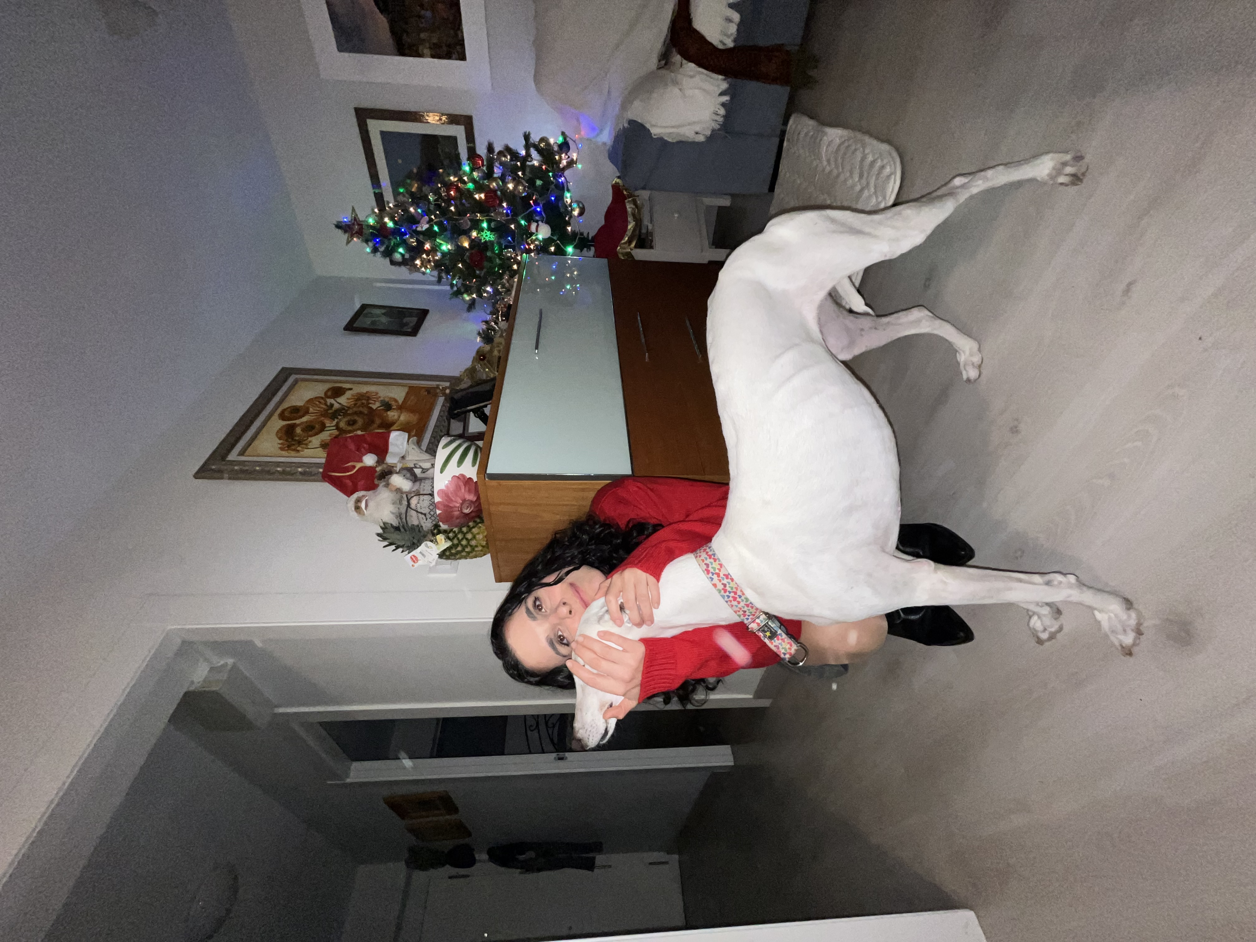 image-6