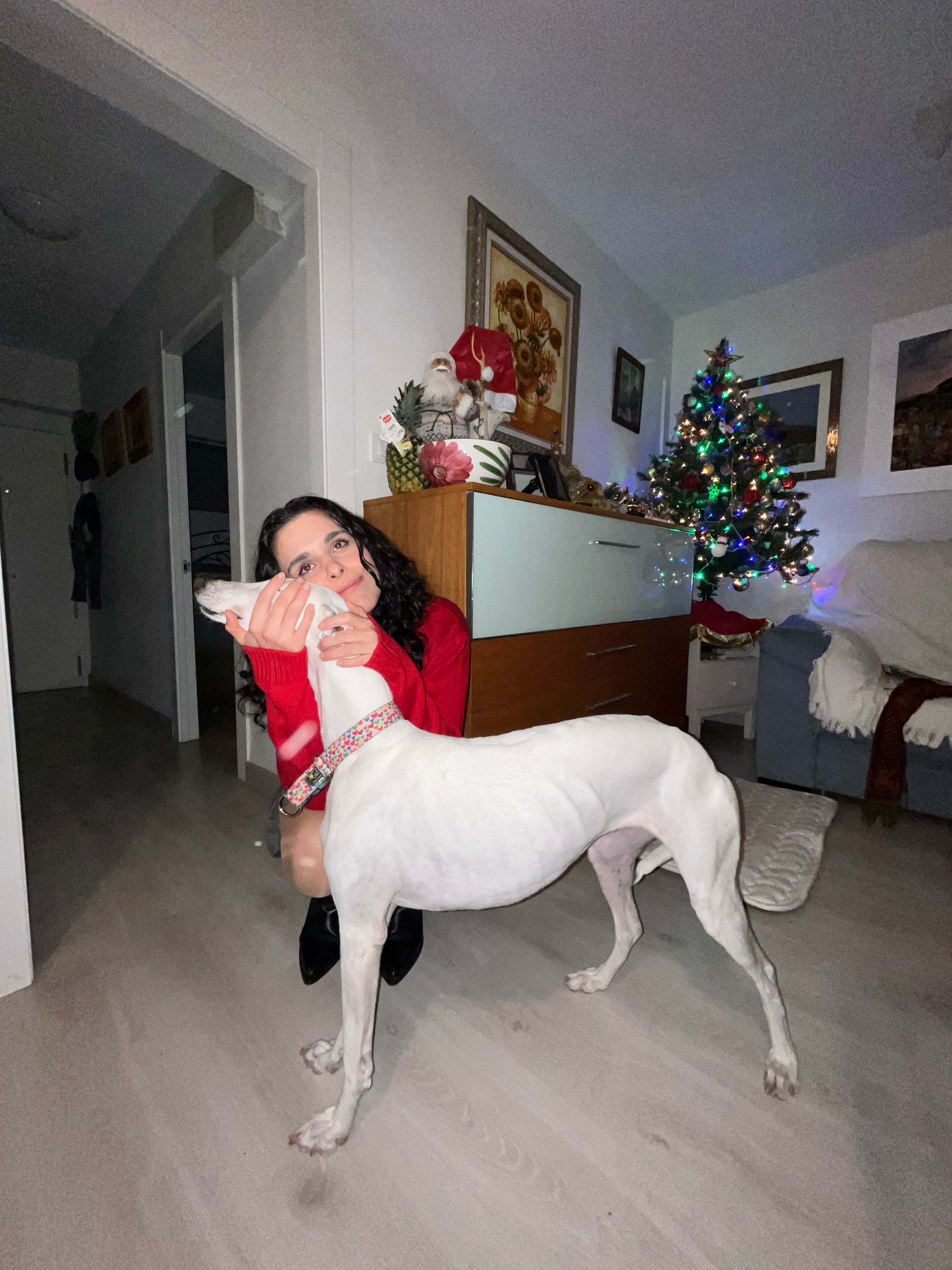 image-6
