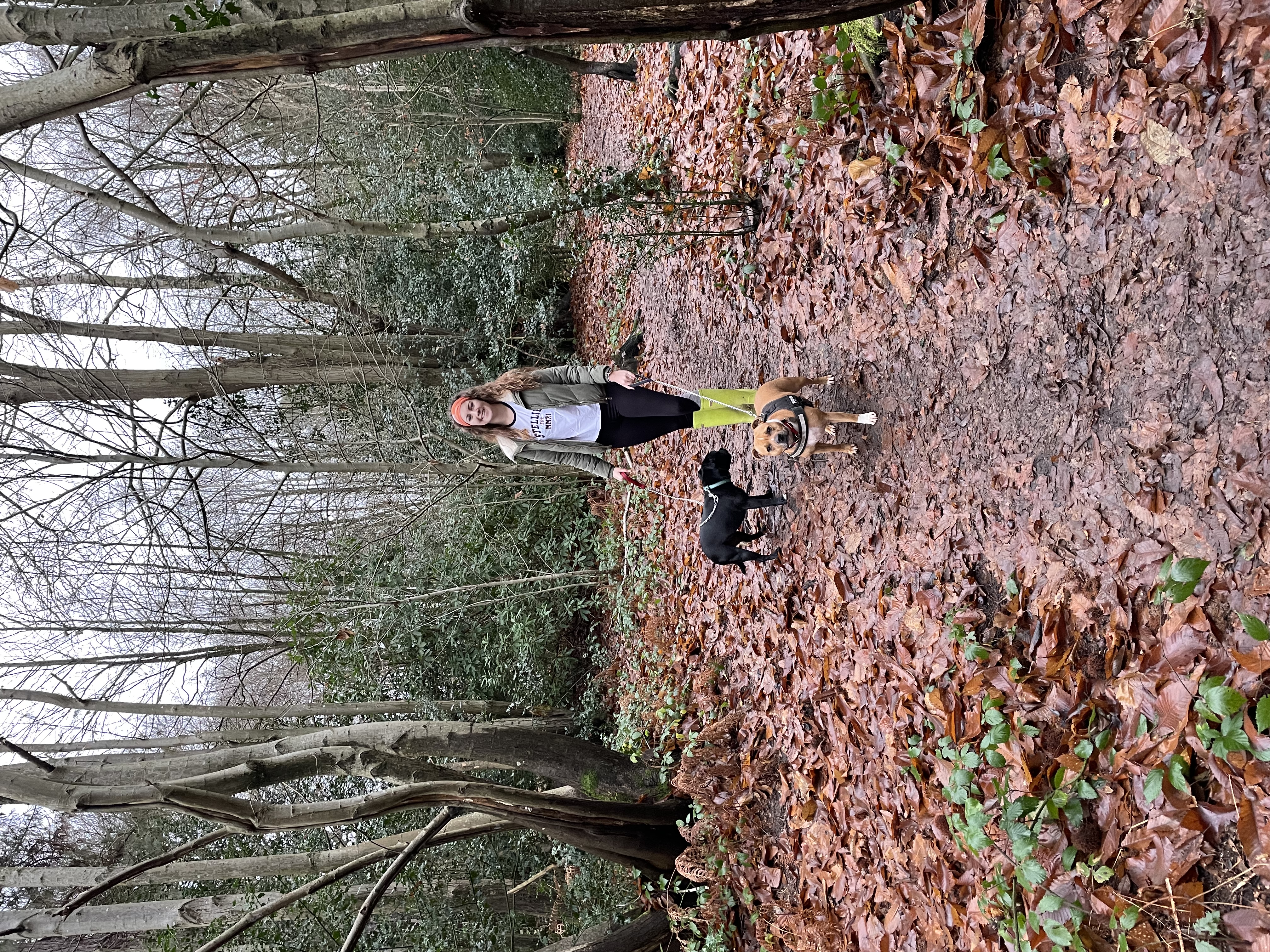image-7