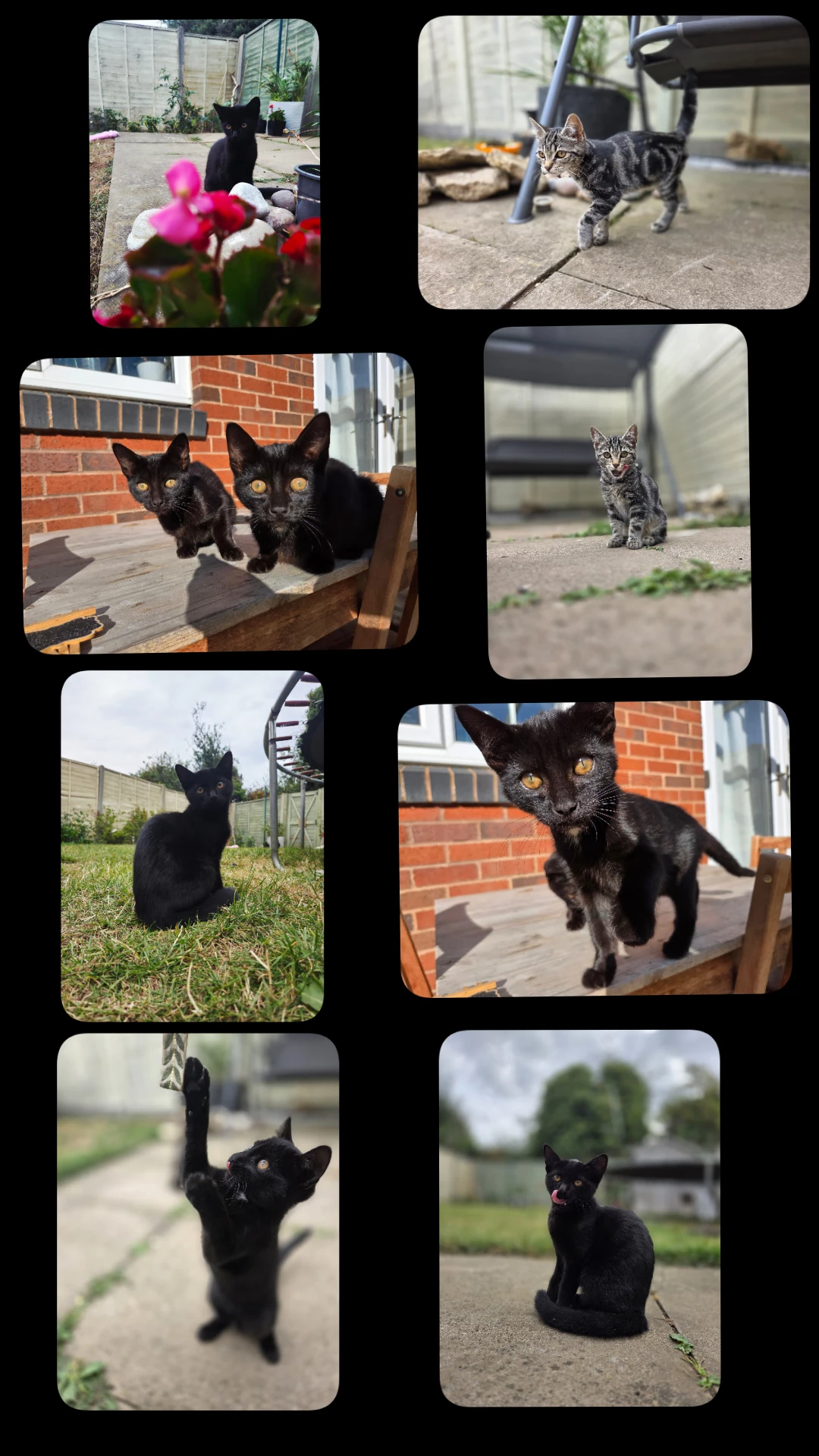 image-14