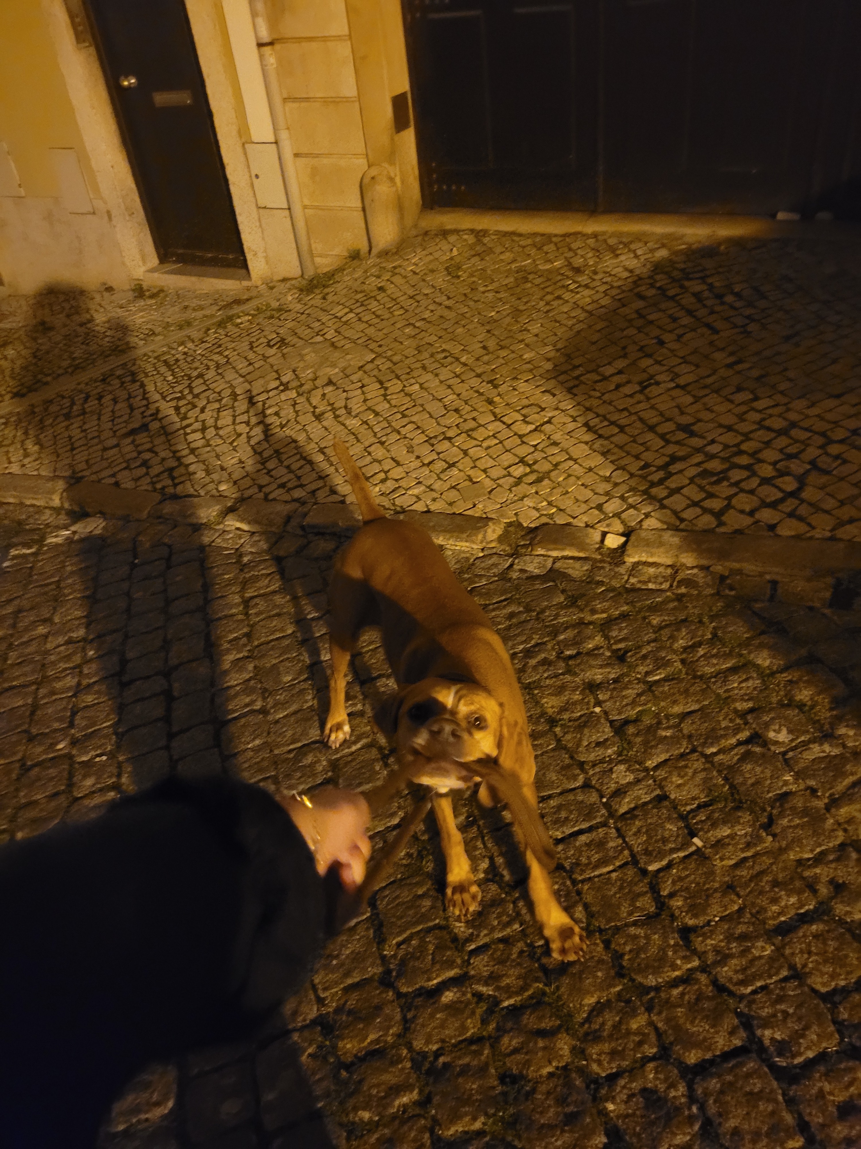 image-5