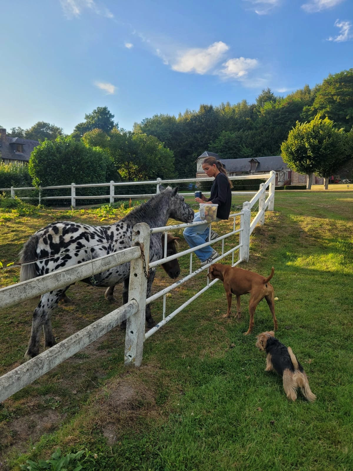 image-9