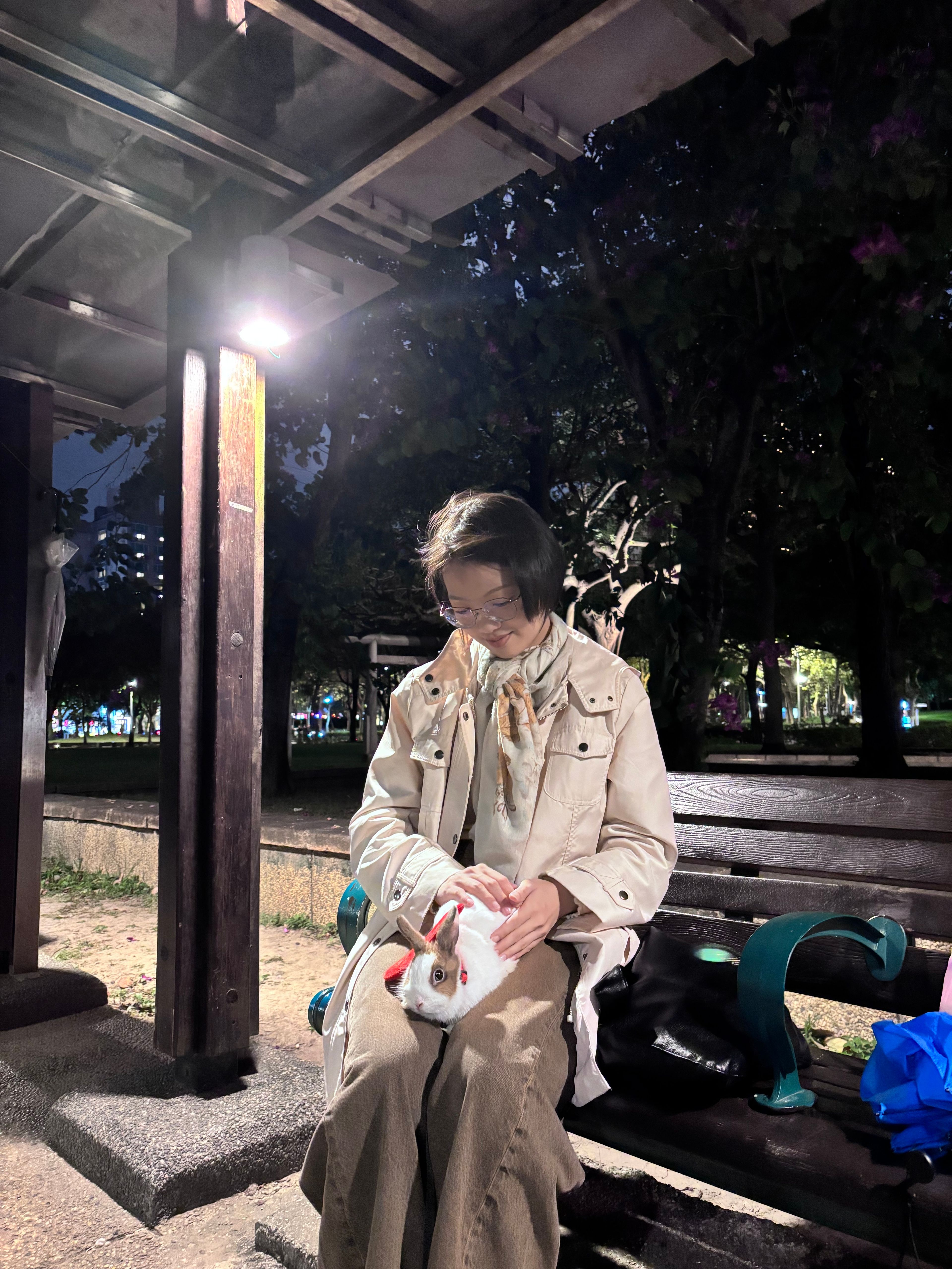 image-3