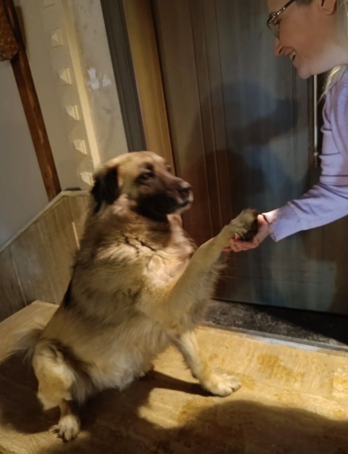 image-11