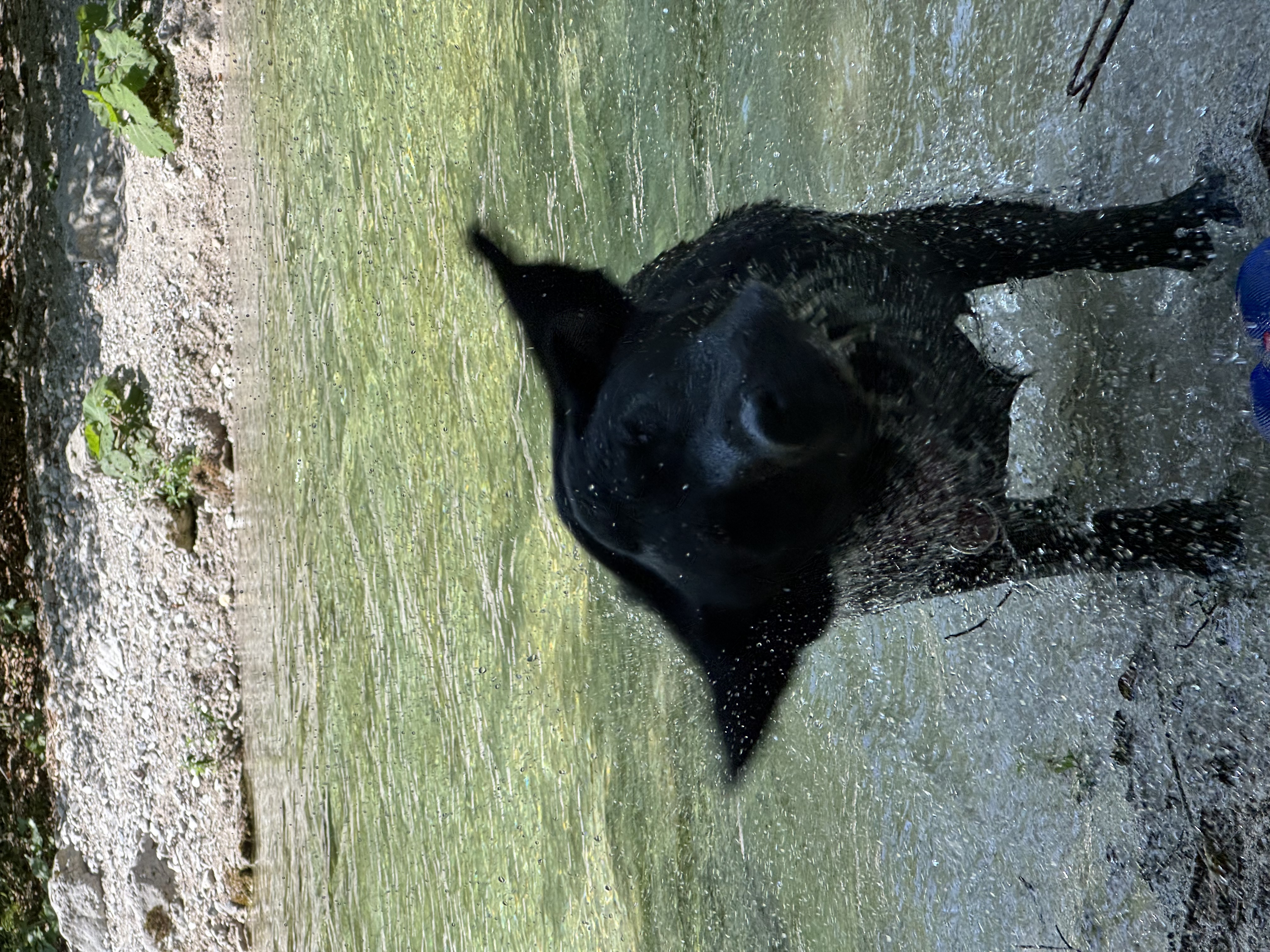 image-5