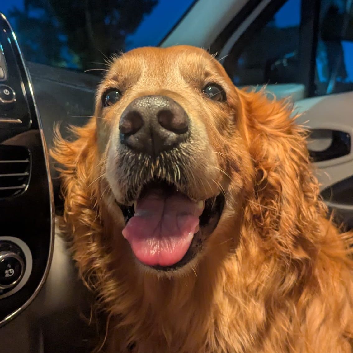 Bailey