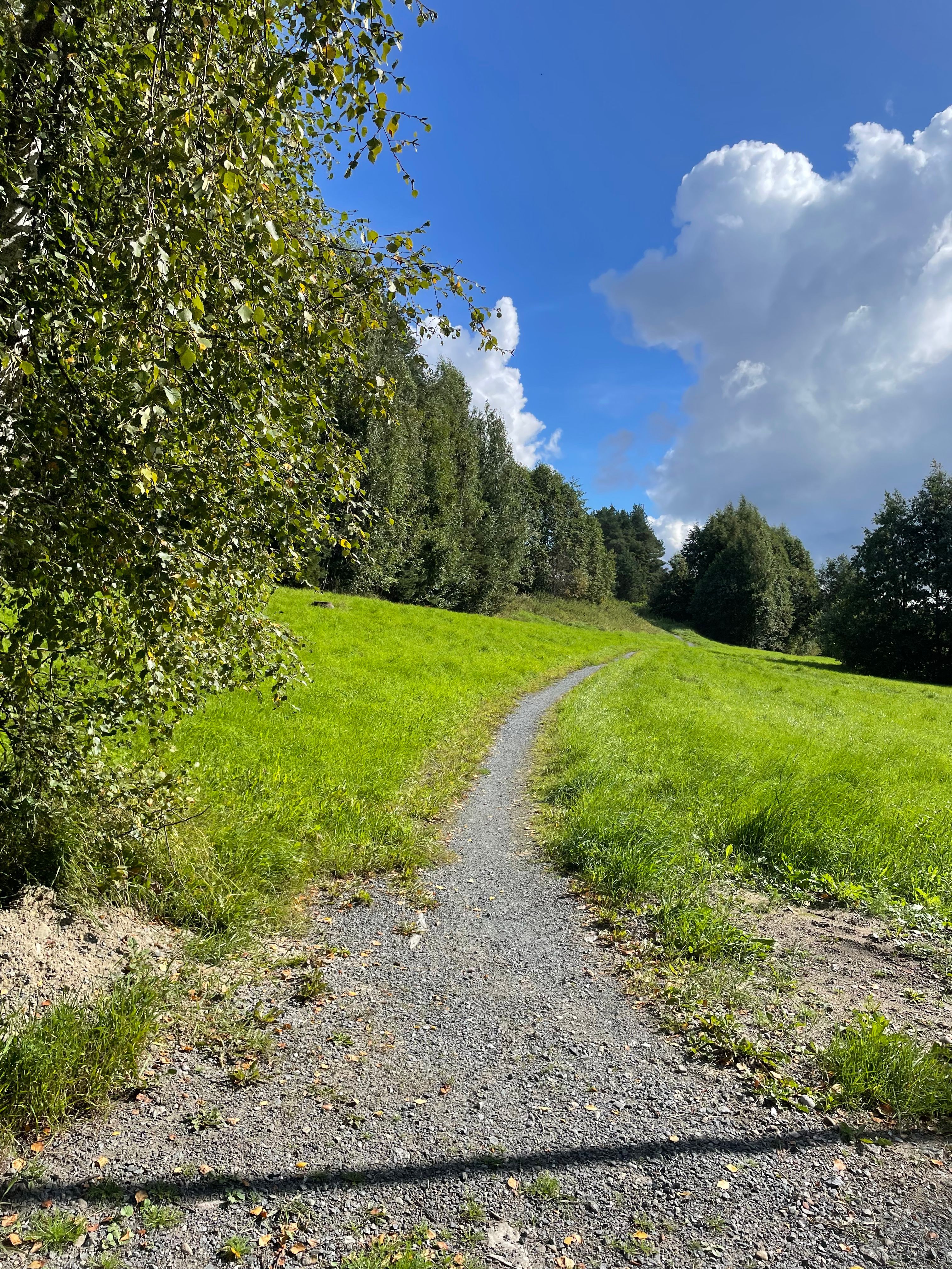 image-19