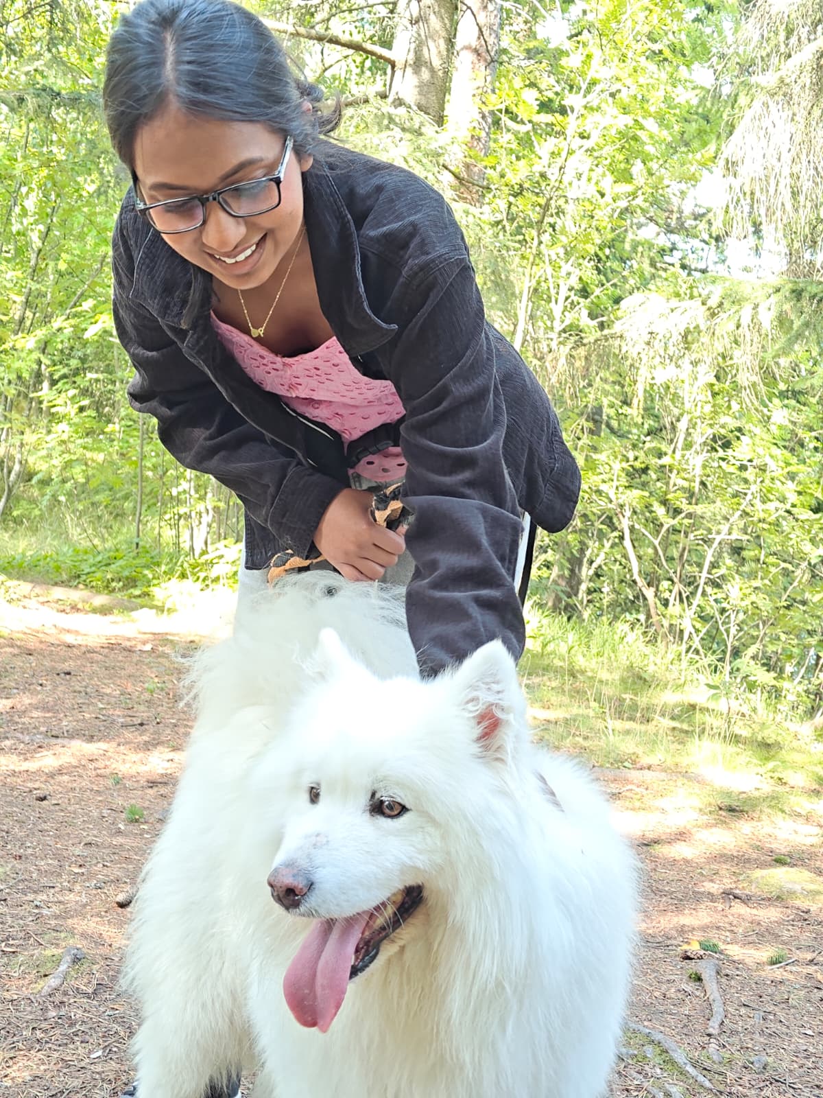 image-7
