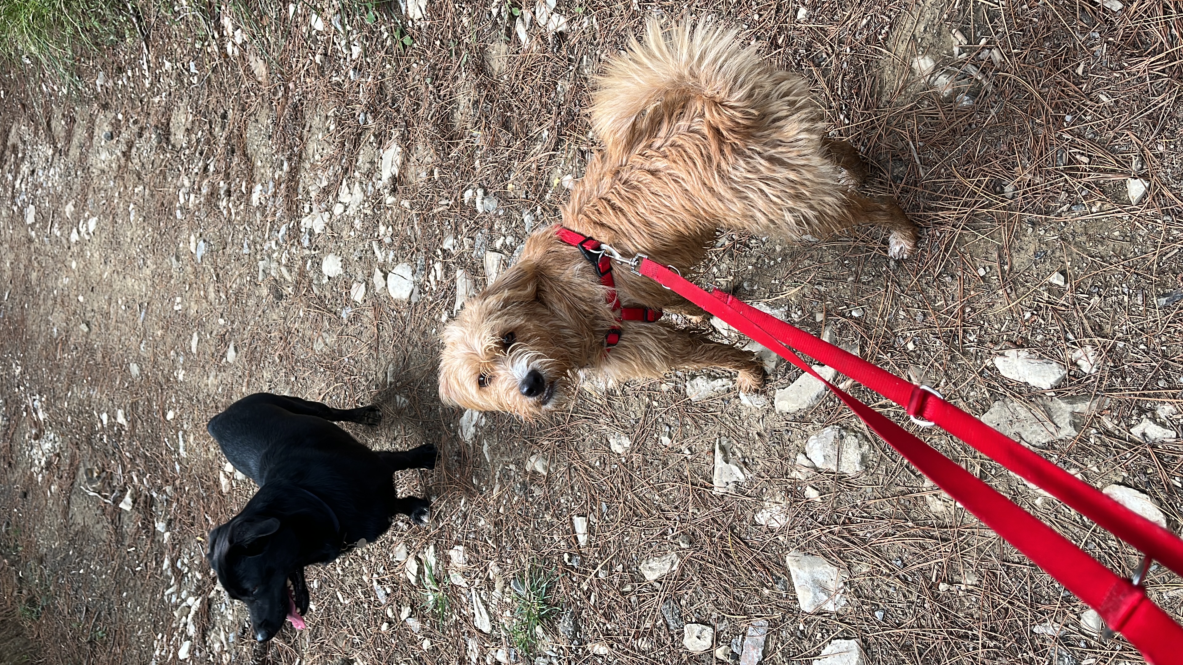 image-9