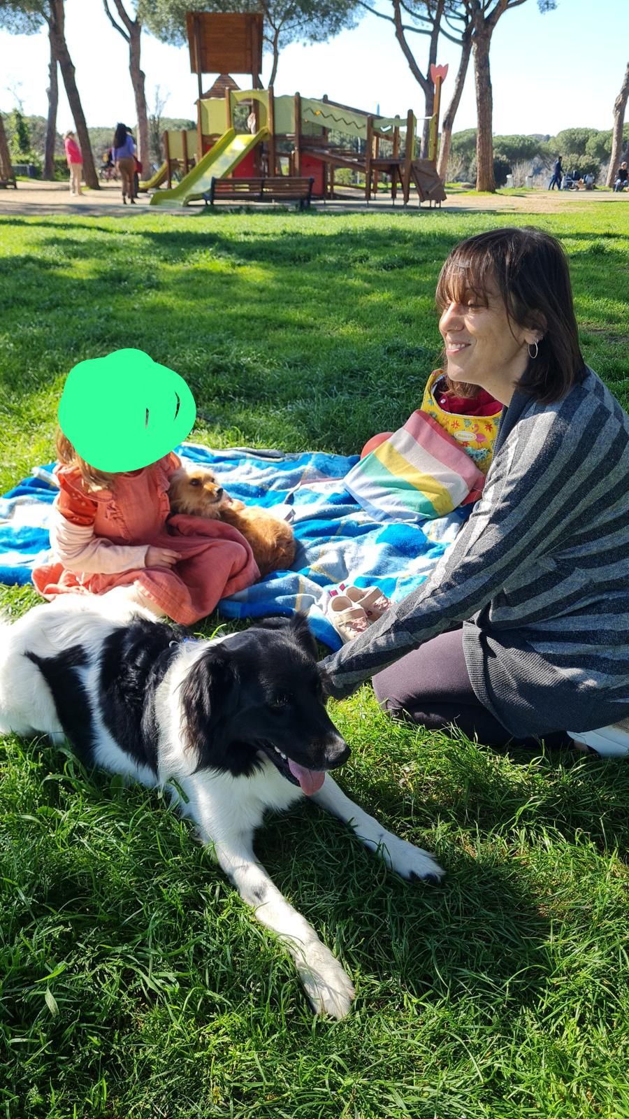 image-6