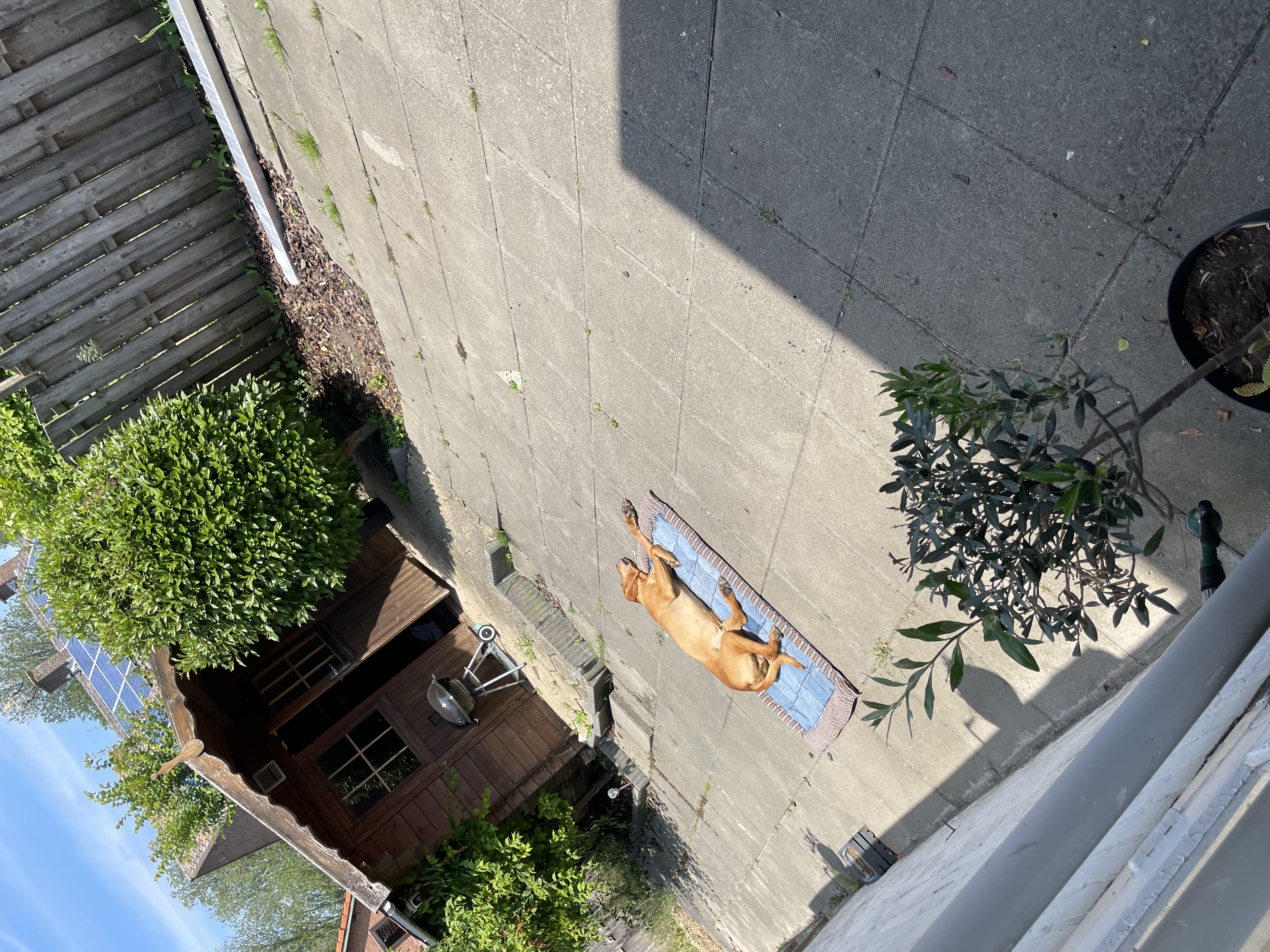 image-13