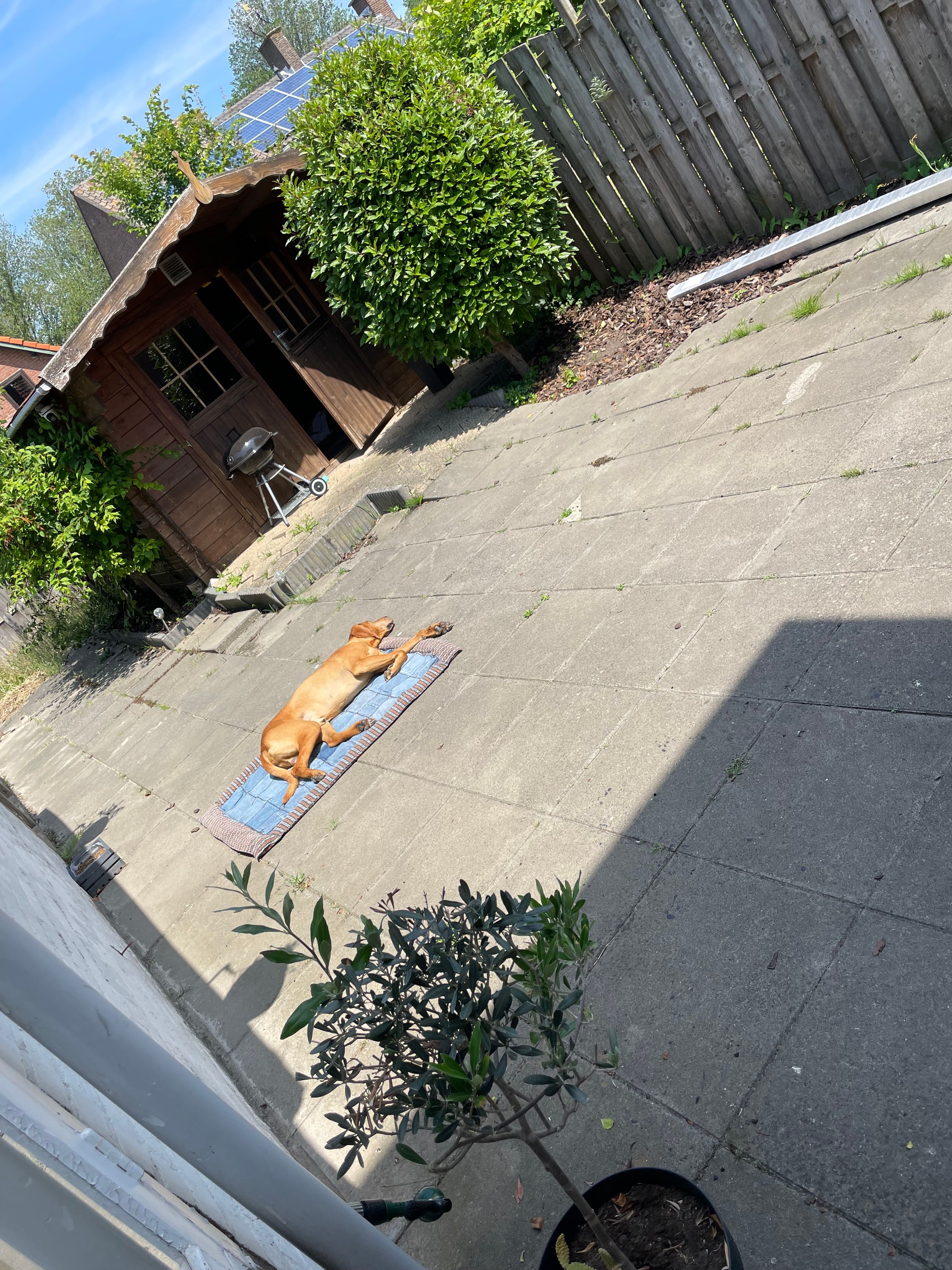 image-13