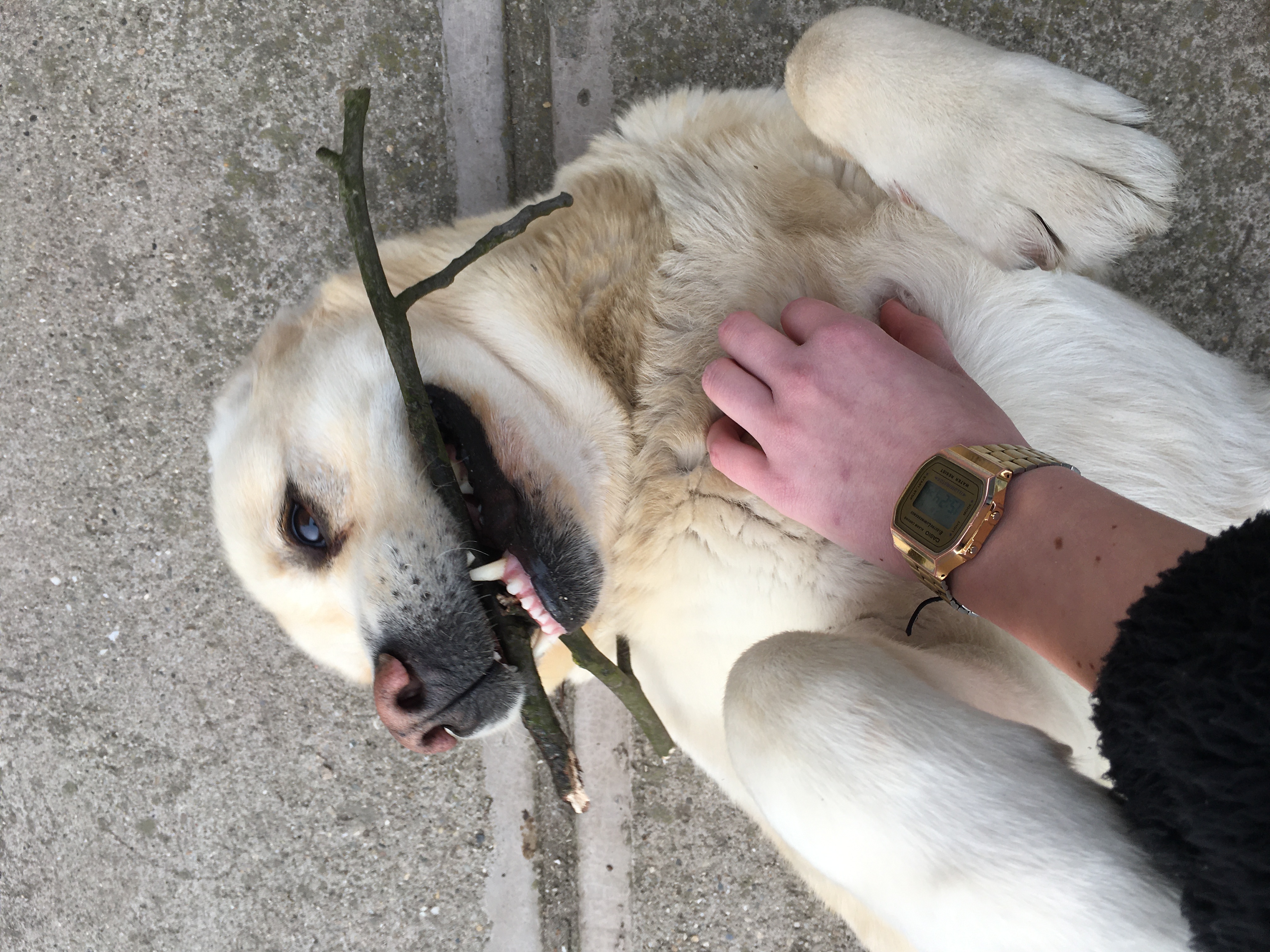 image-6