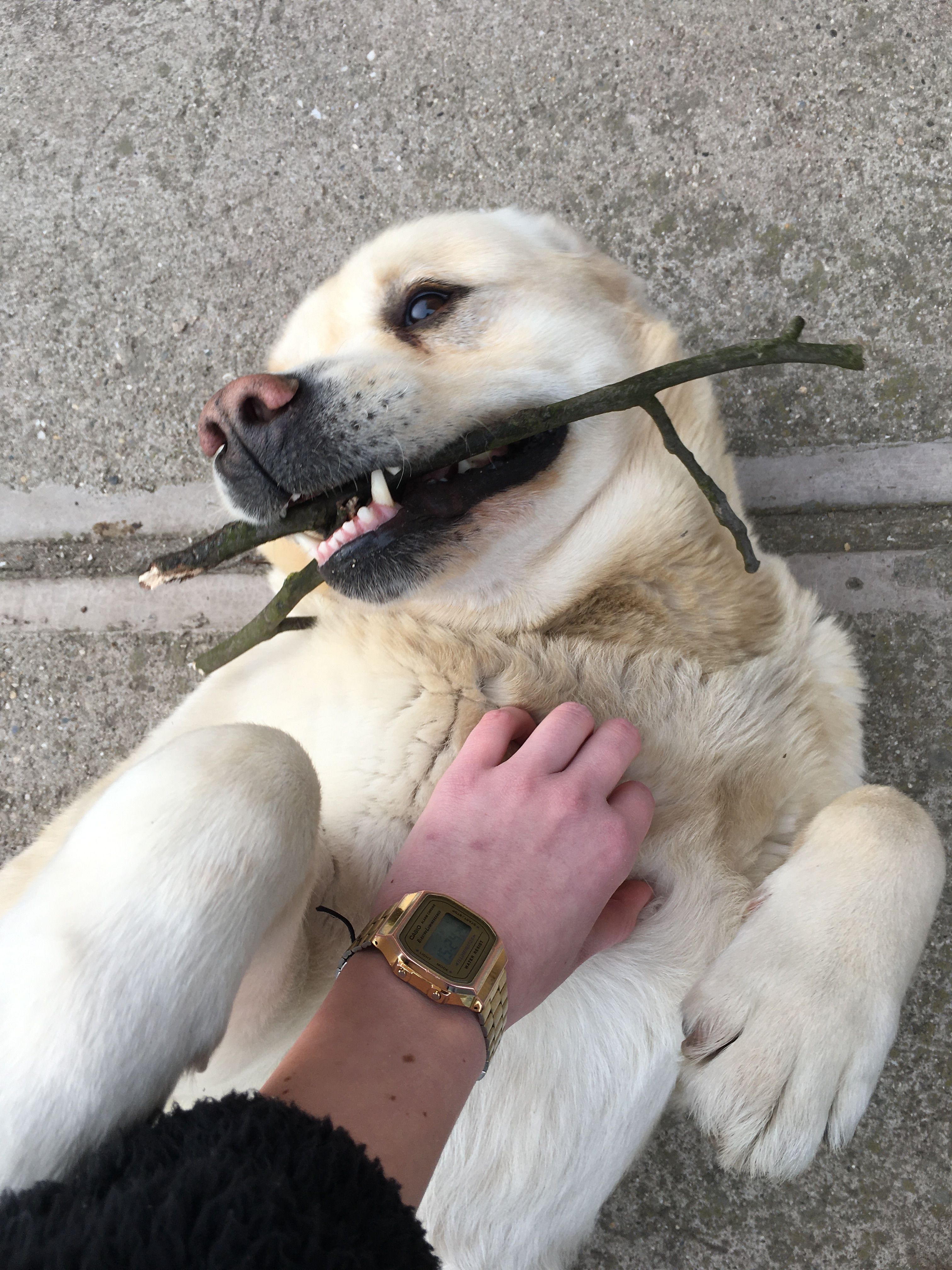 image-6