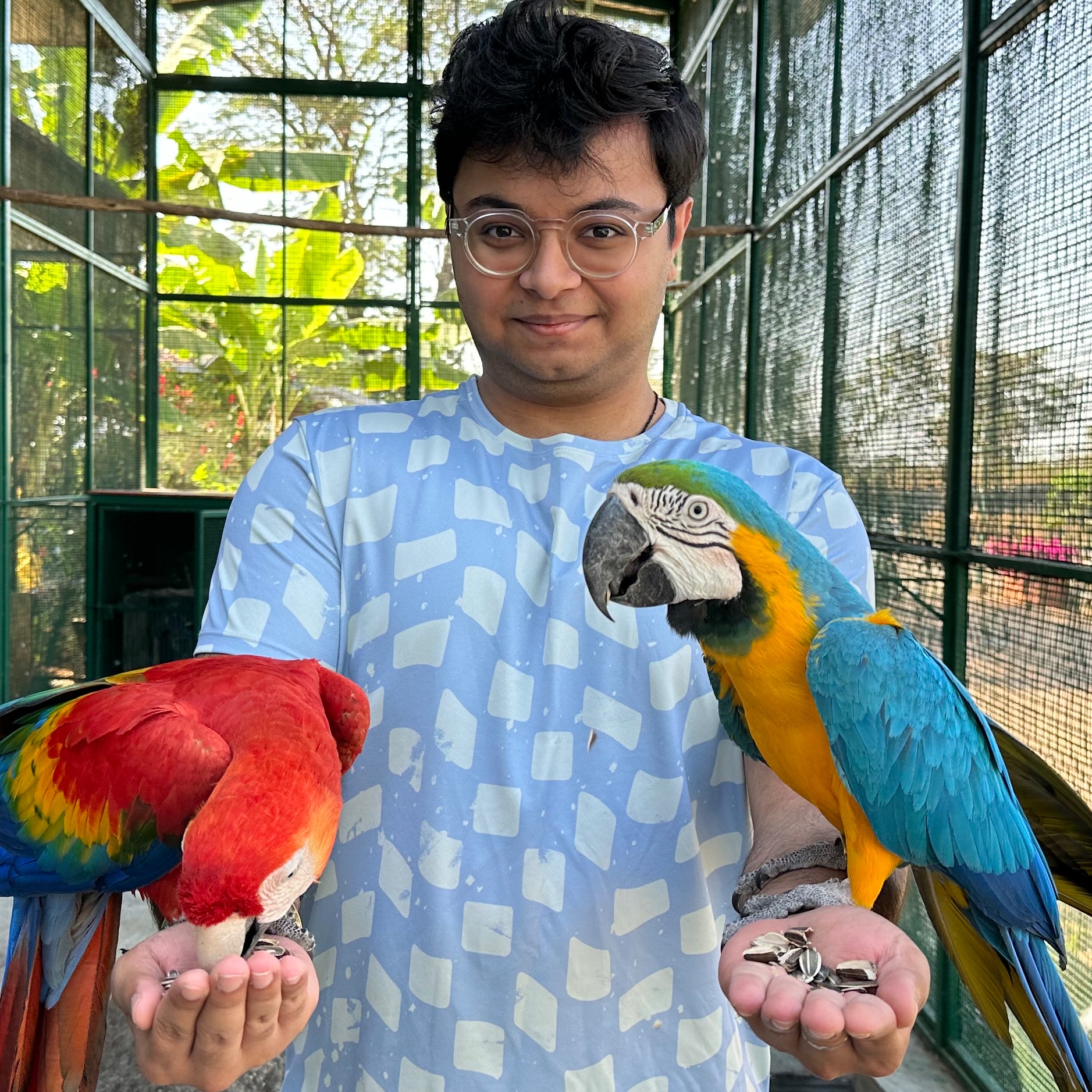 Armaan