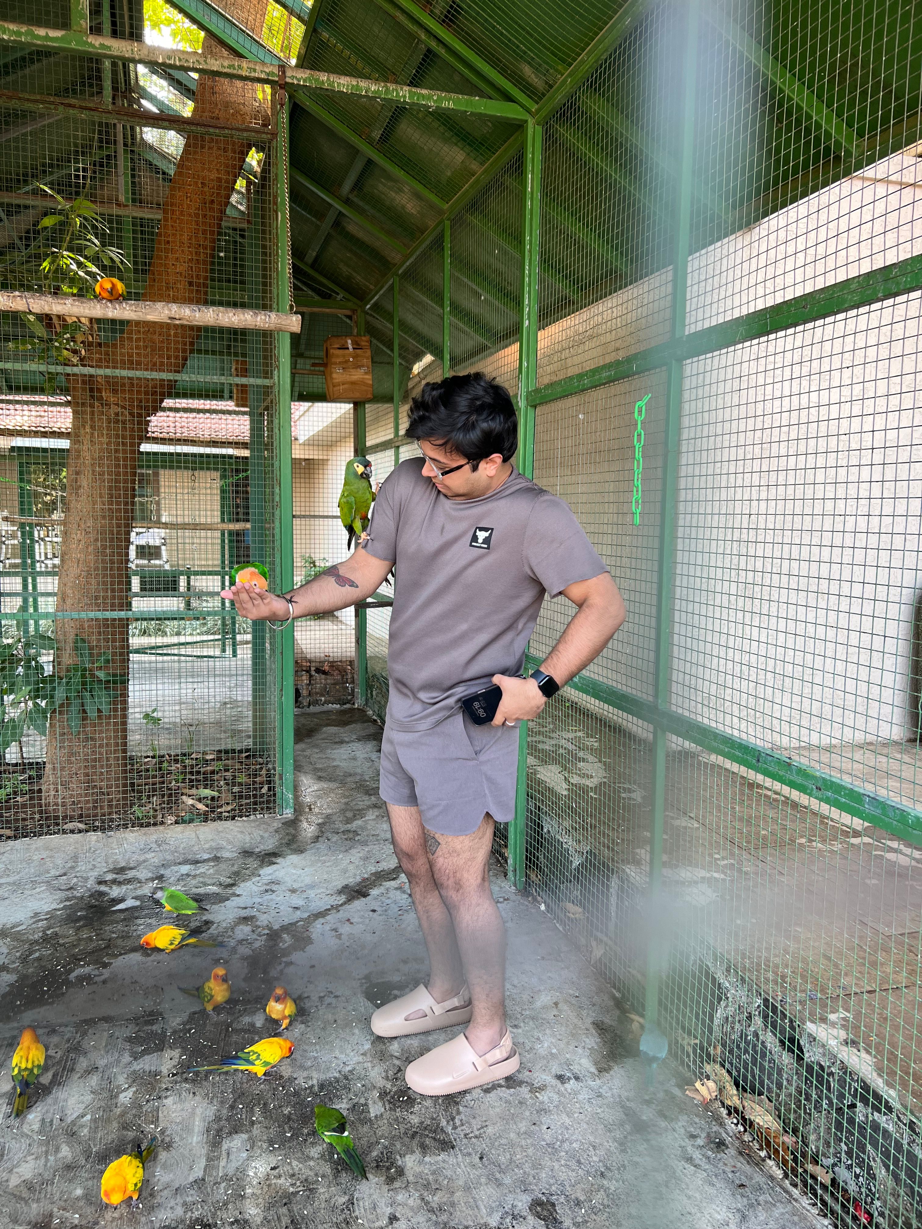 image-5