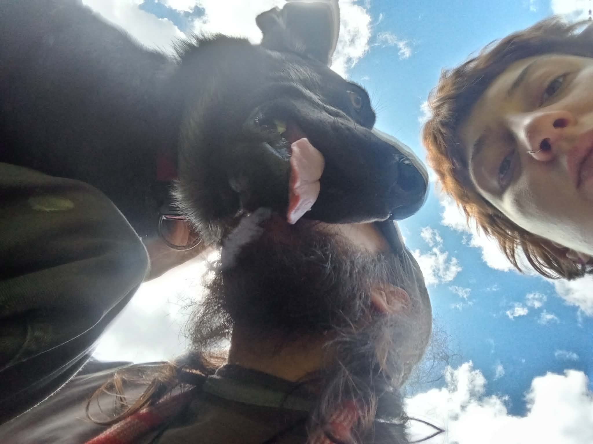 image-3