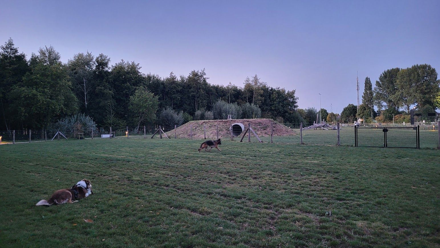 image-16