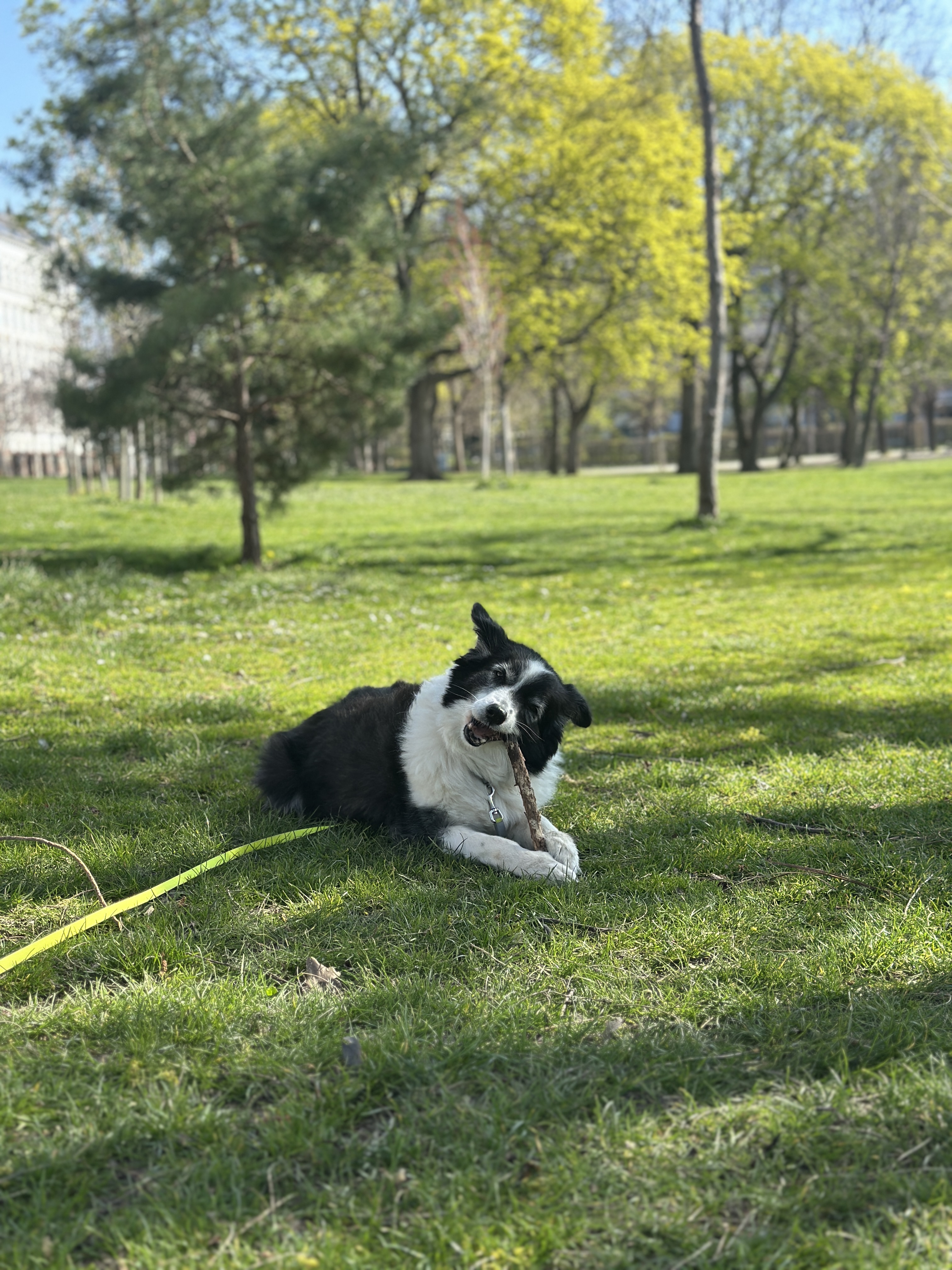 image-18