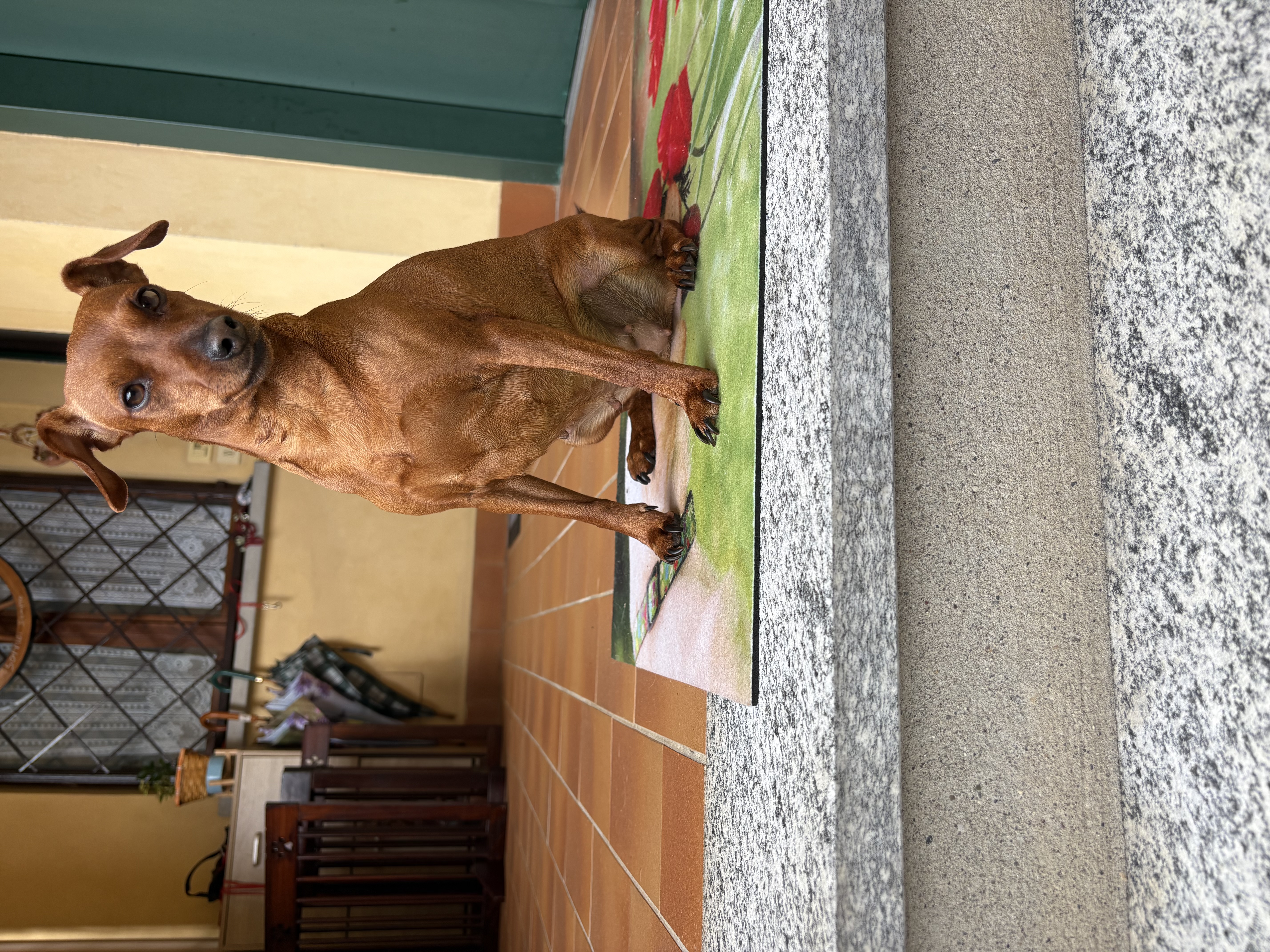 image-22