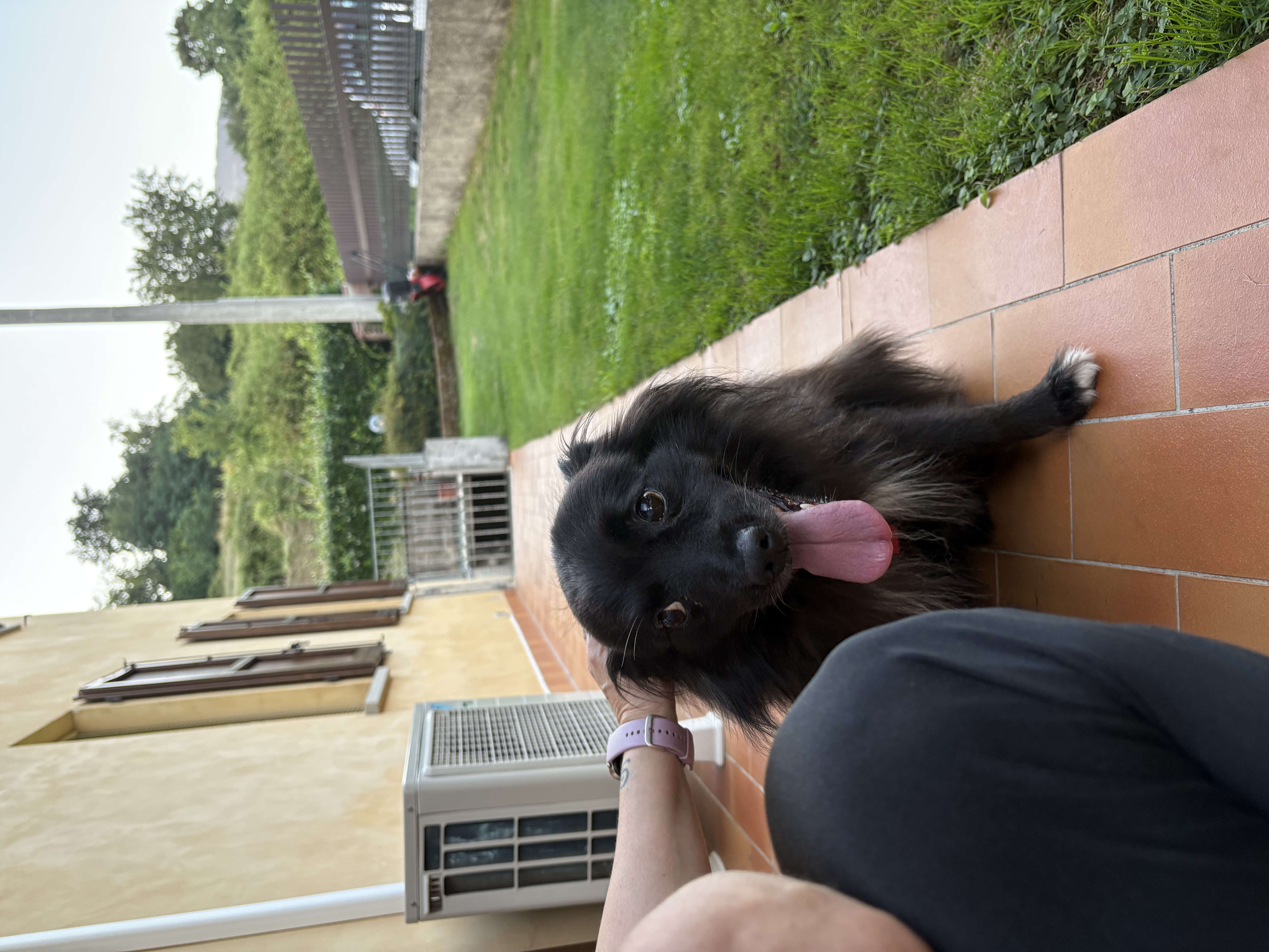 image-12