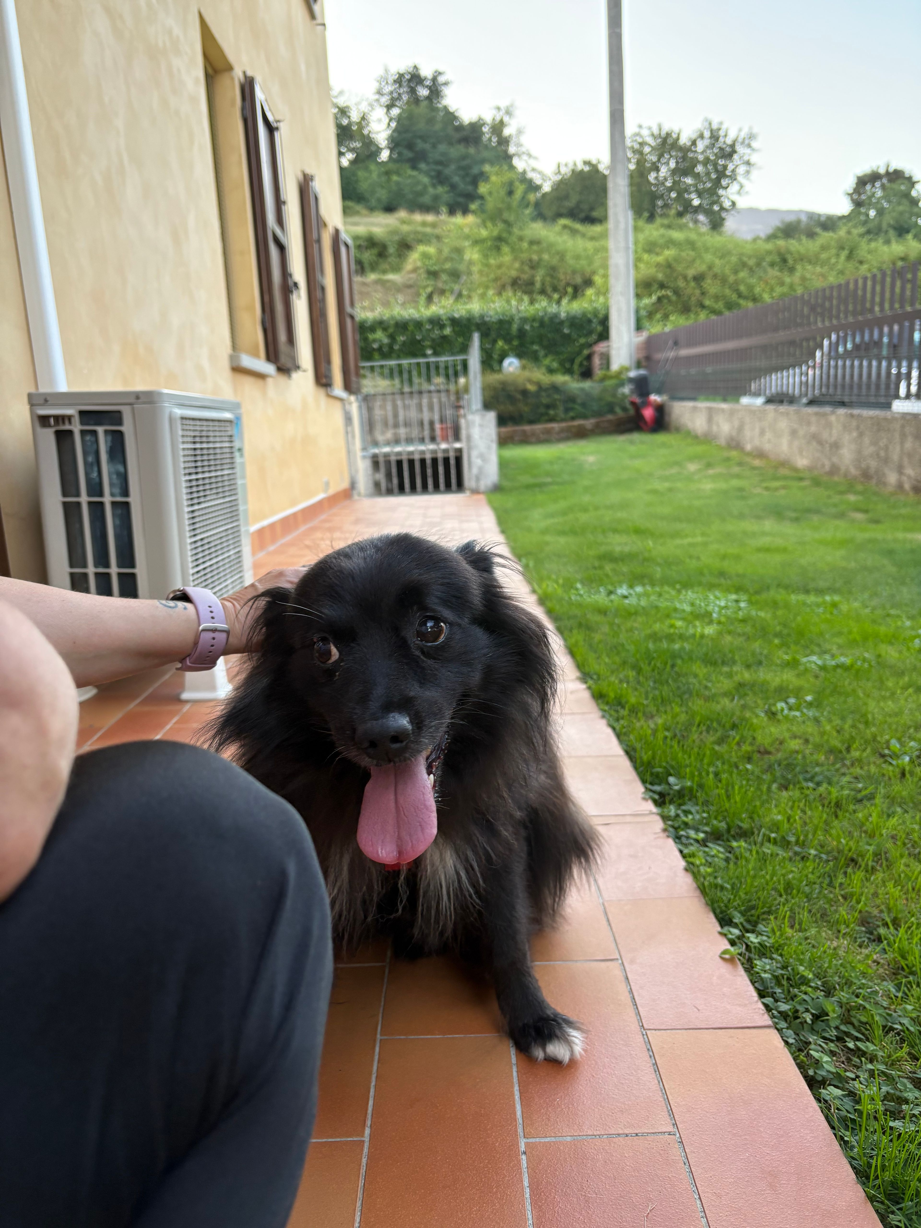 image-12