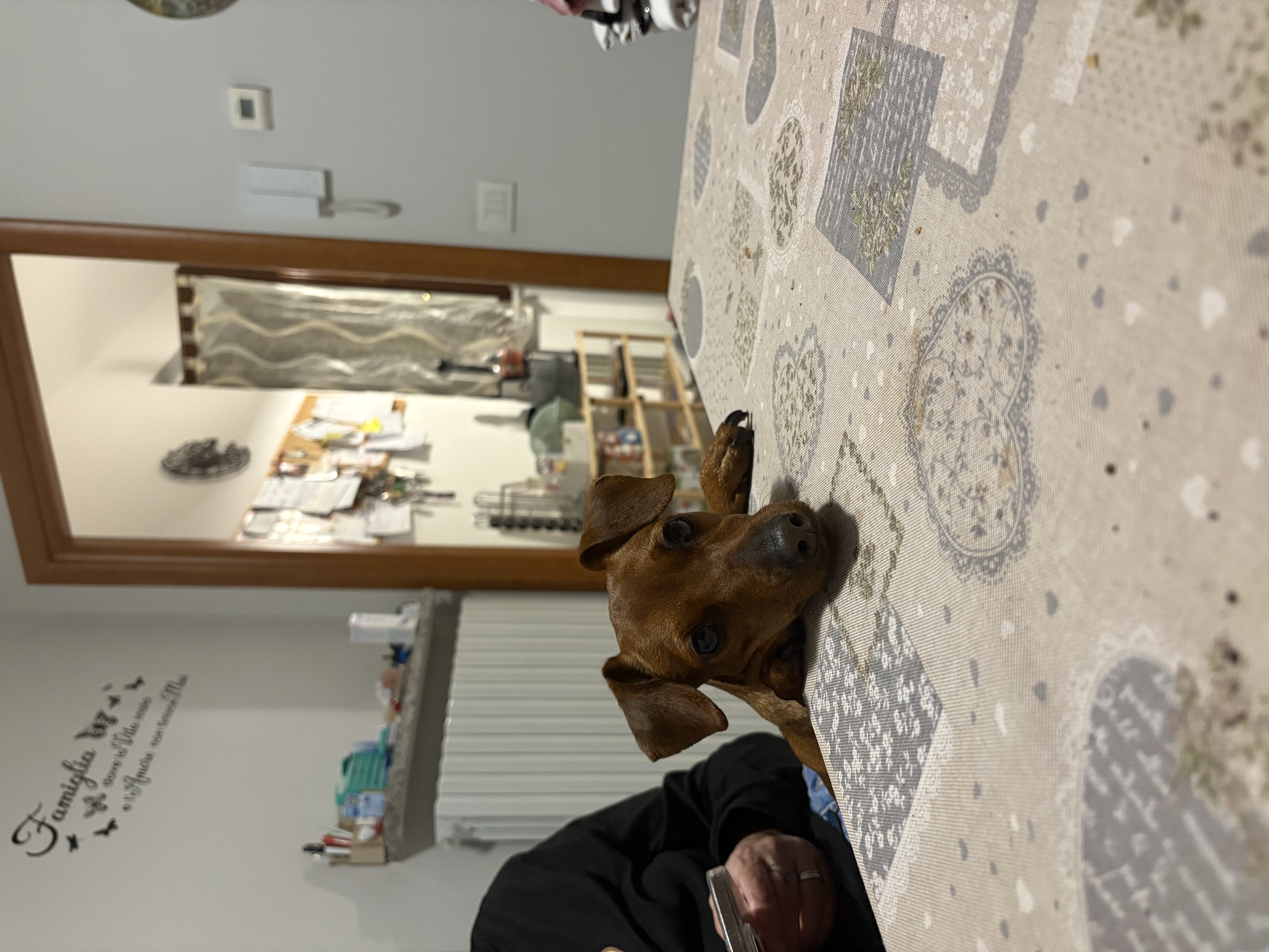 image-21