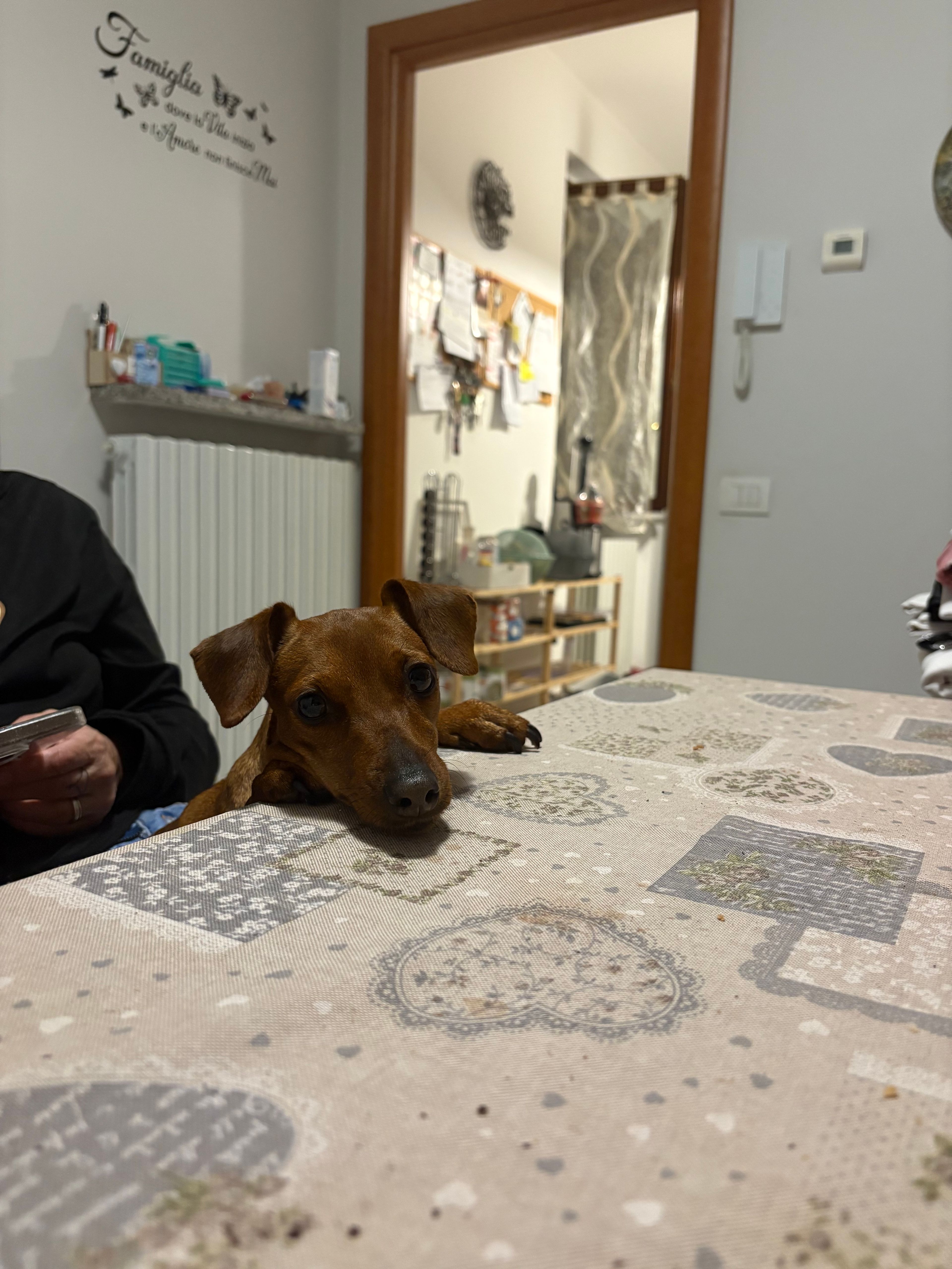 image-21