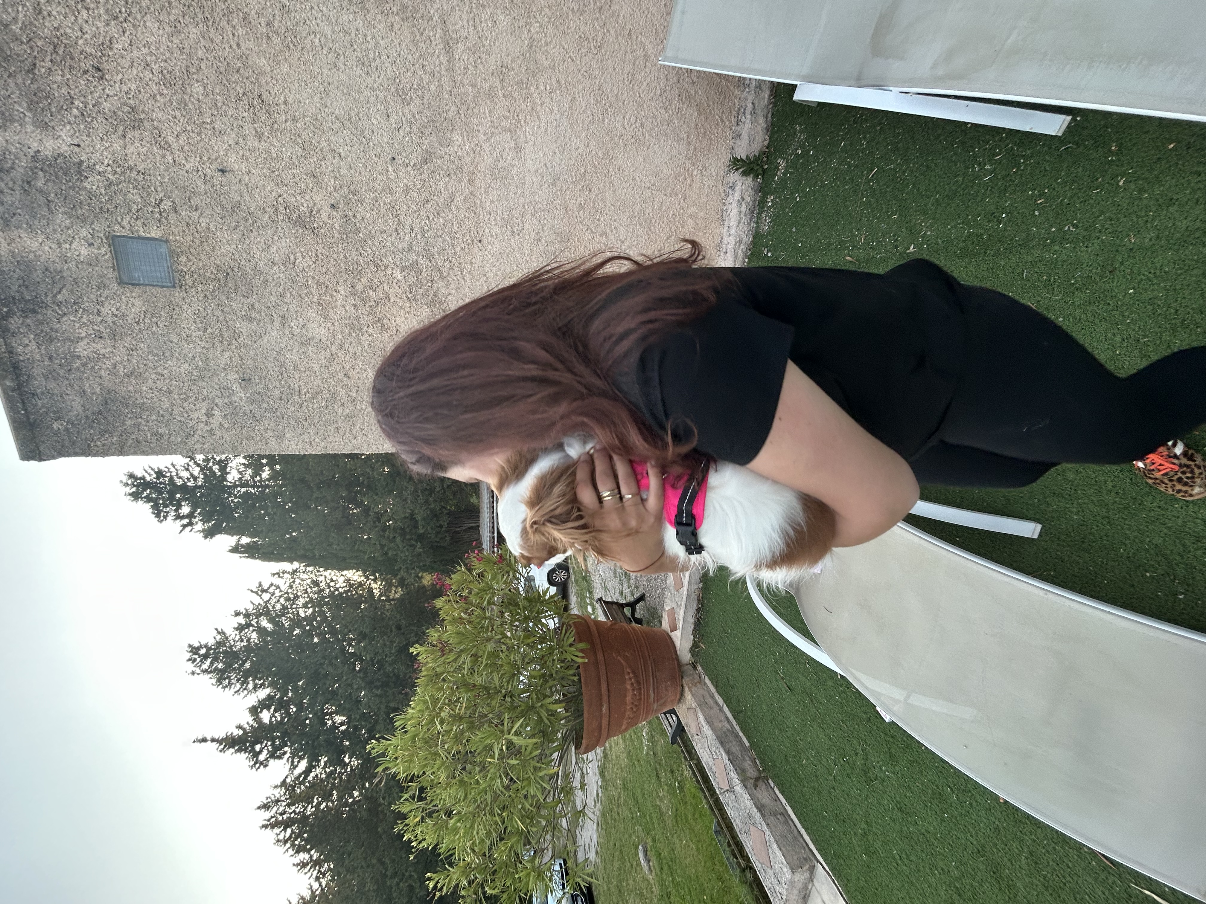 image-2