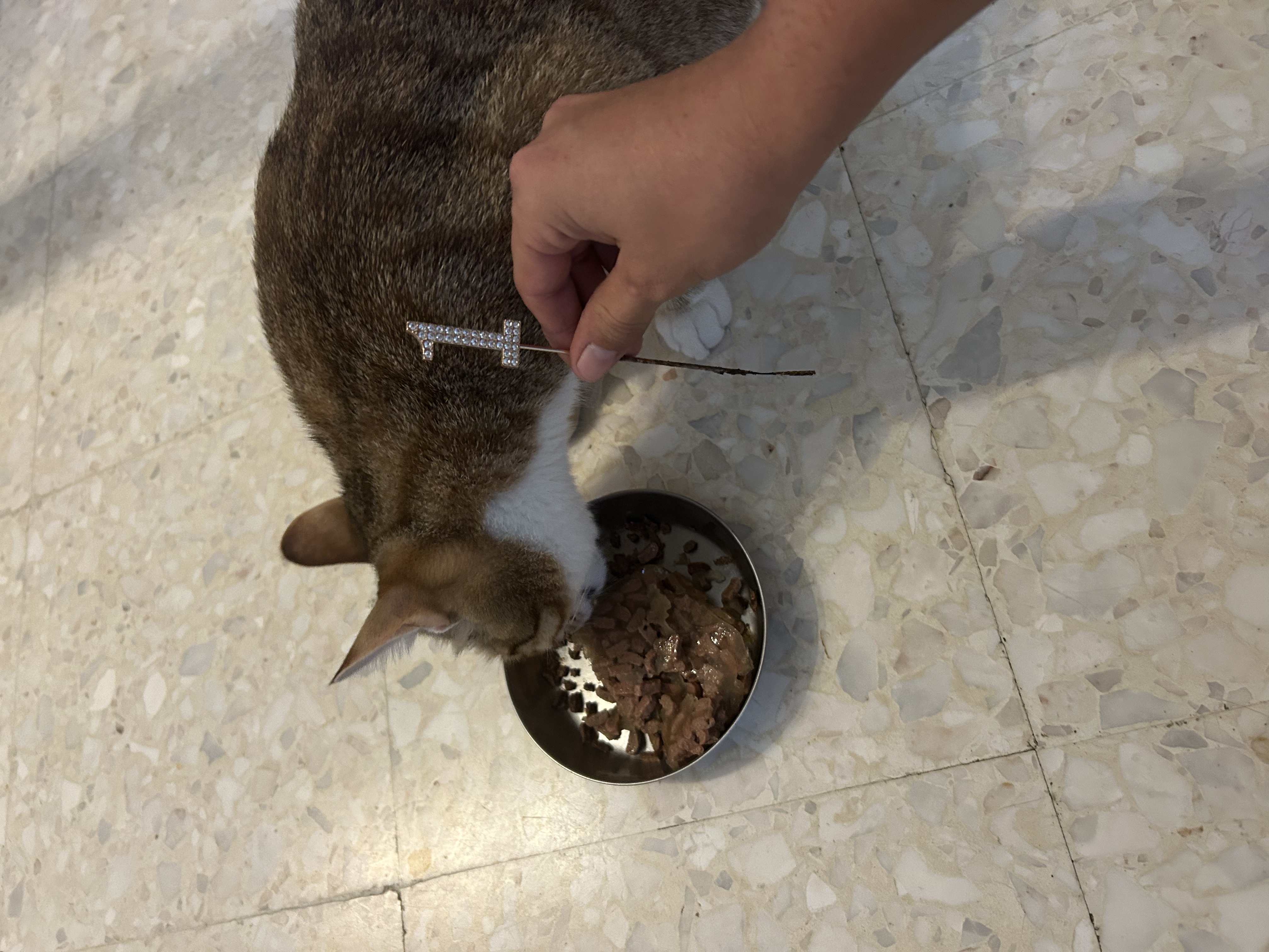 image-14