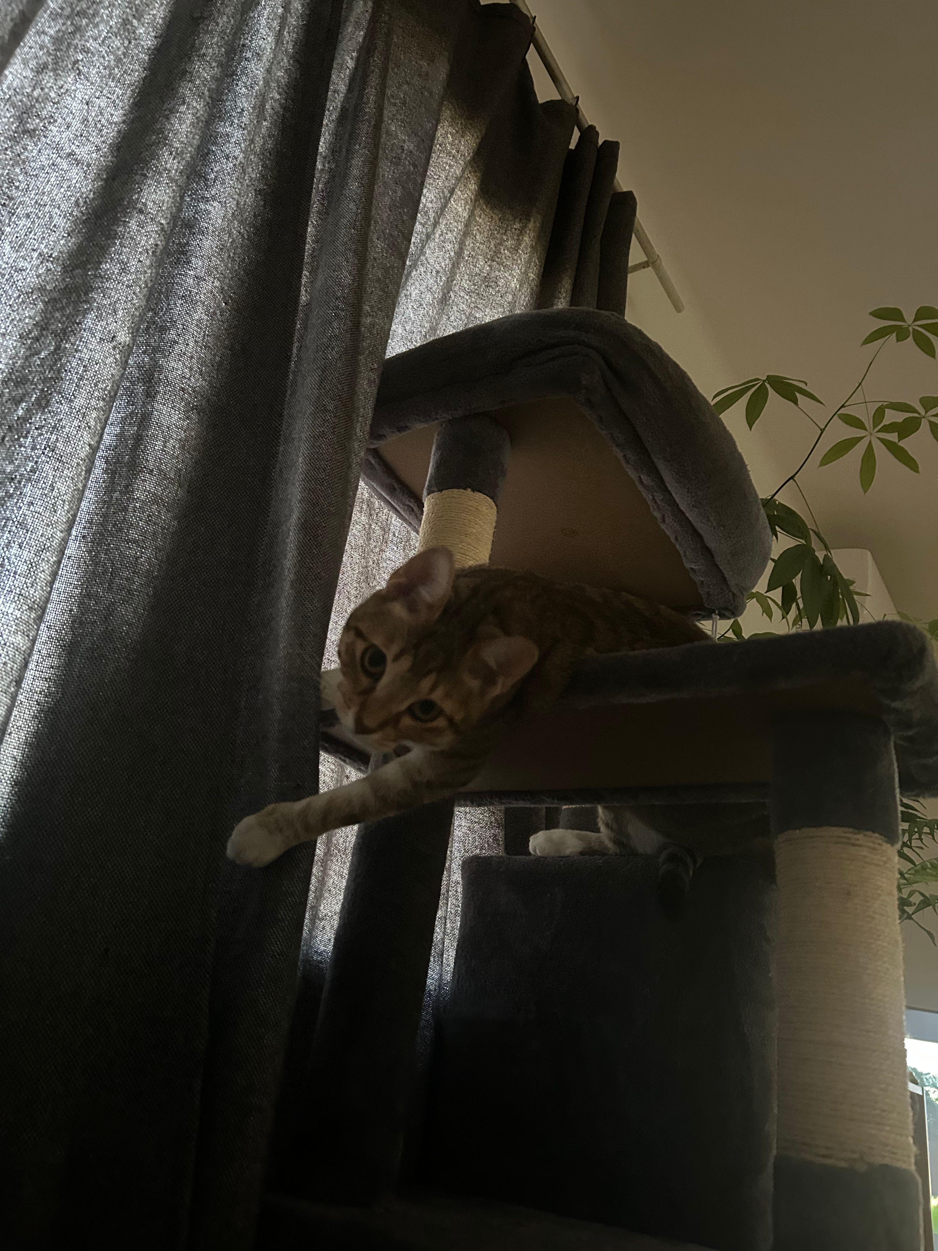 image-6